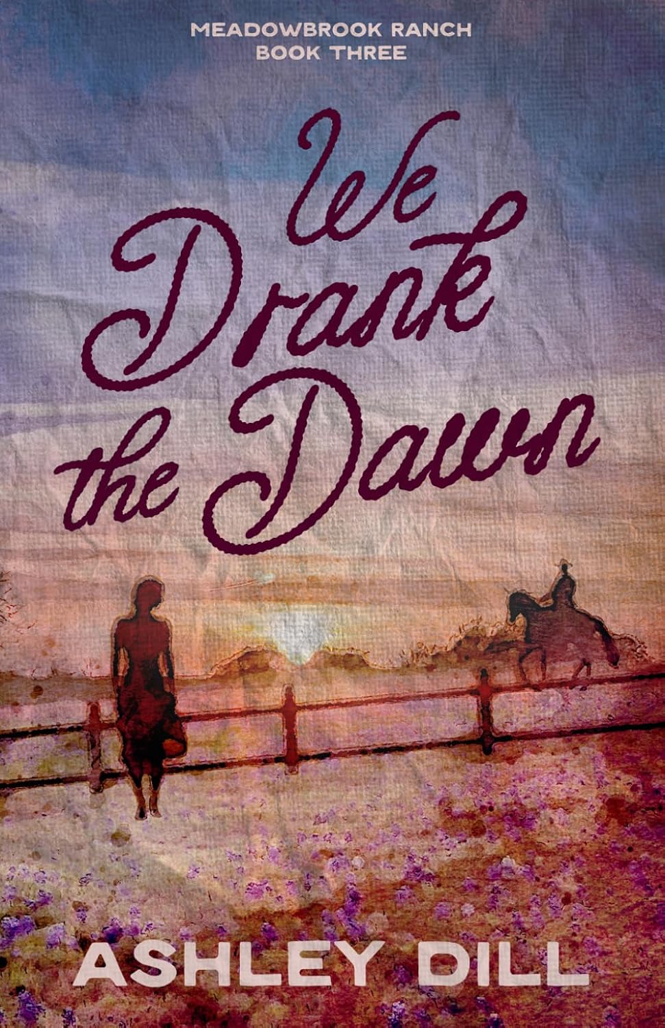 We Drank the Dawn: An Emotional, Second Chance, Marriage in Crisis (Meadowbrook Ranch) baixar livro de graça