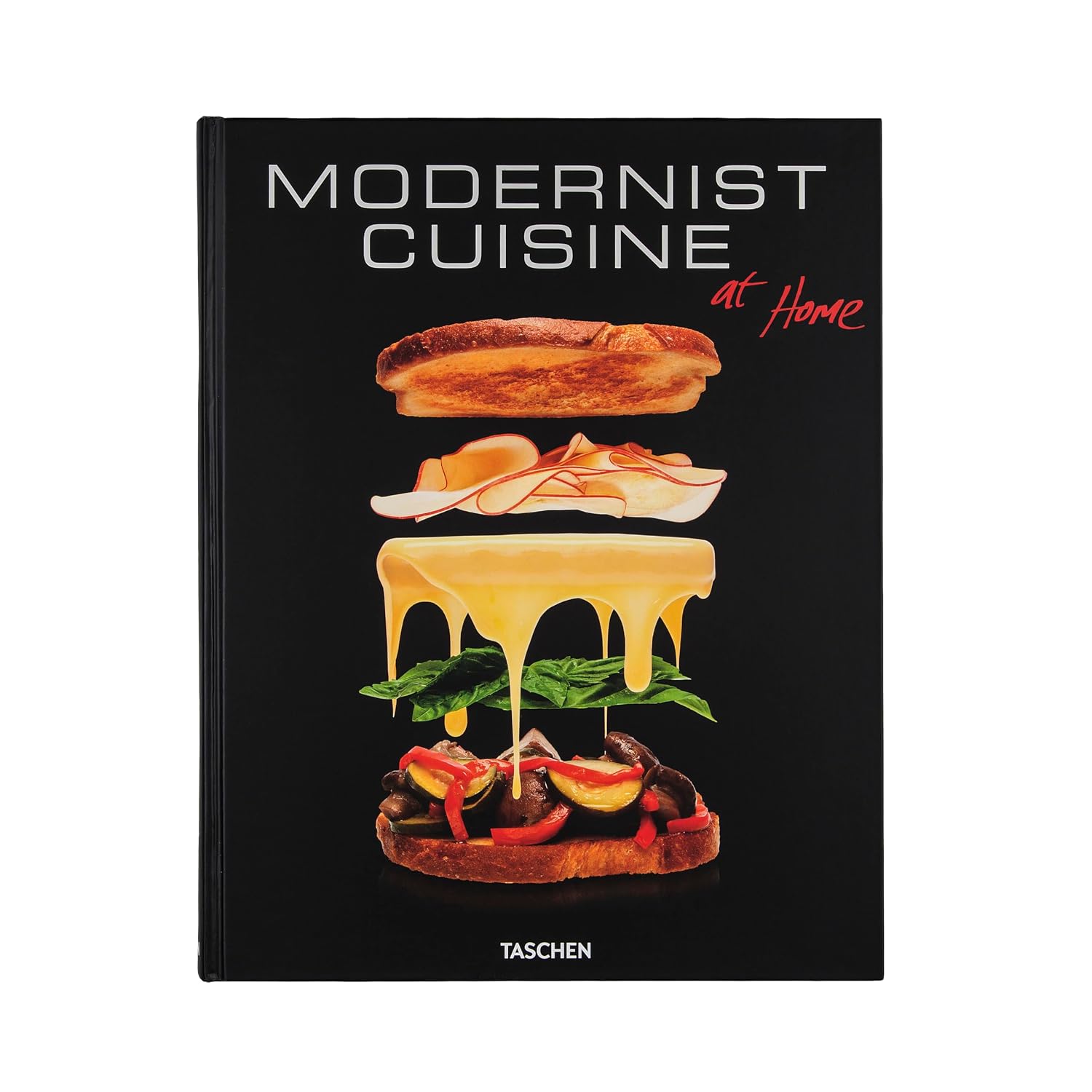 Modernist cuisine at home baixar livro de graça