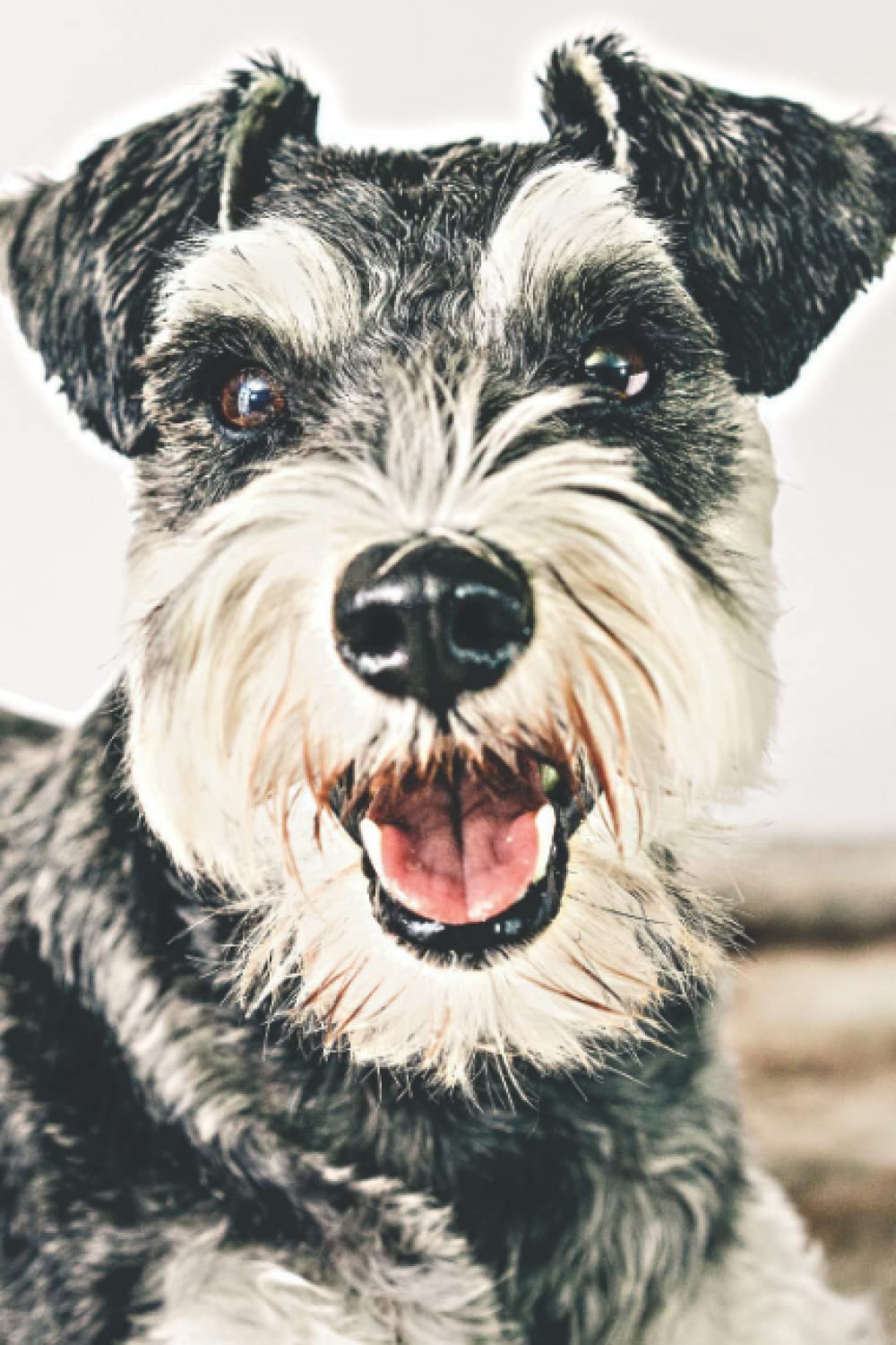 Schnauzer Lover's Journal: For Continual Self-Improvement and Focus baixar livro de graça