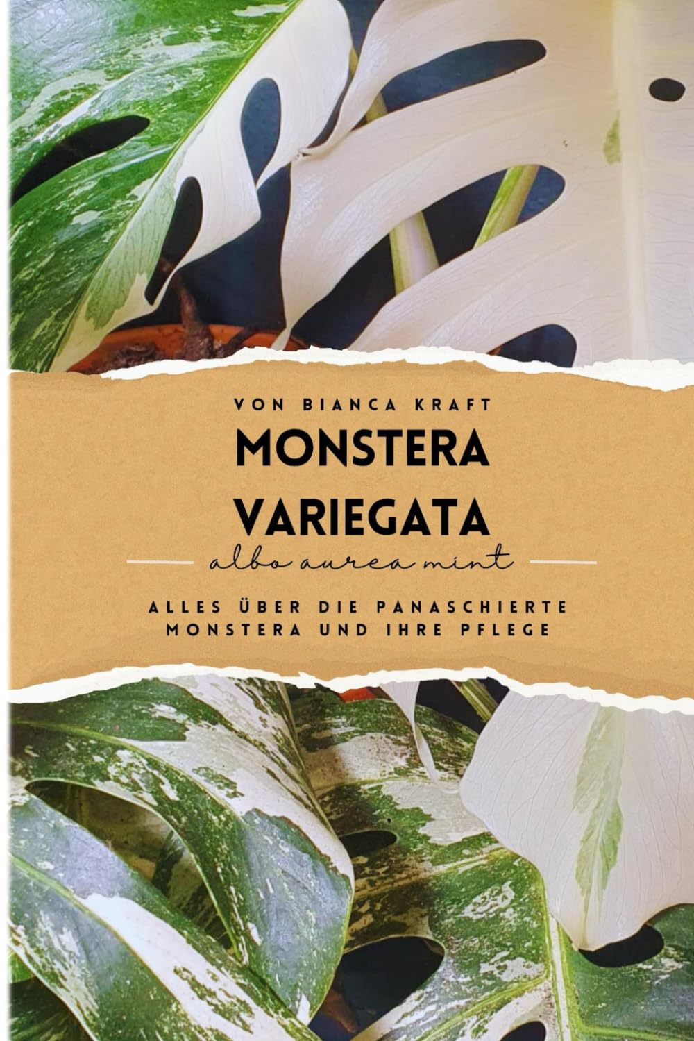 Monstera Variegata: Alles über die panaschierte Monstera und ihre Pflege (German Edition) baixar livro de graça
