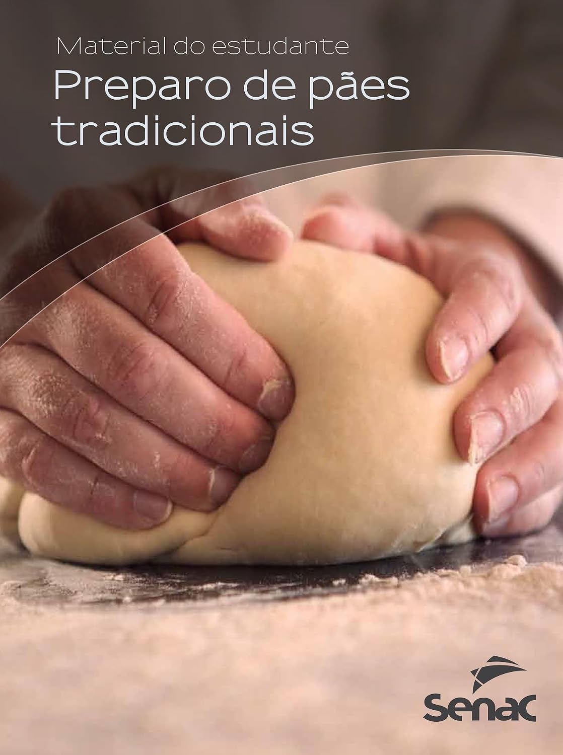 Preparo de pães tradicionais baixar livro de graça