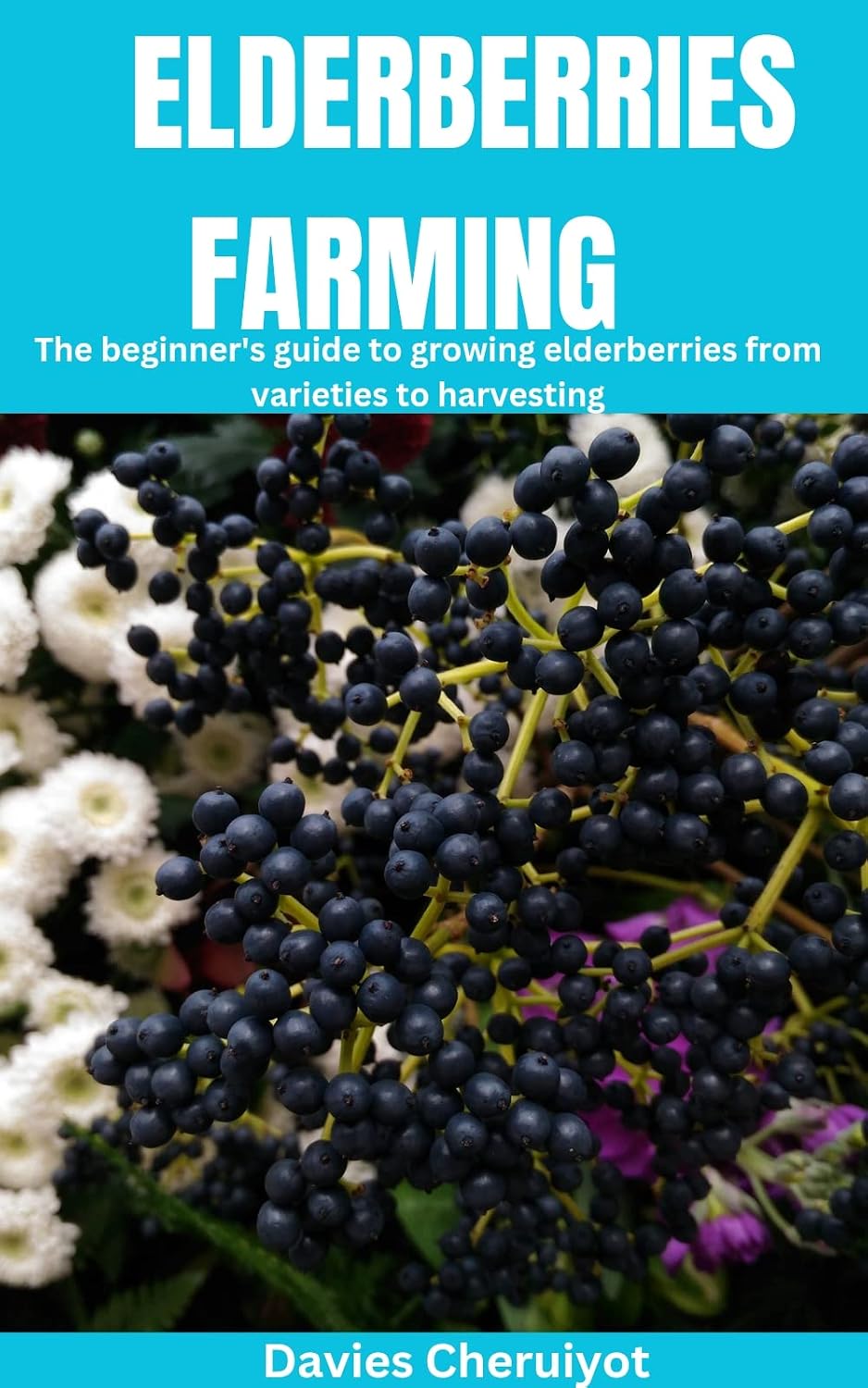 ler totalmente ELDERBERRIES FARMING: The beginner's guide to growing elderberries from varieties to harvesting (English Edition)