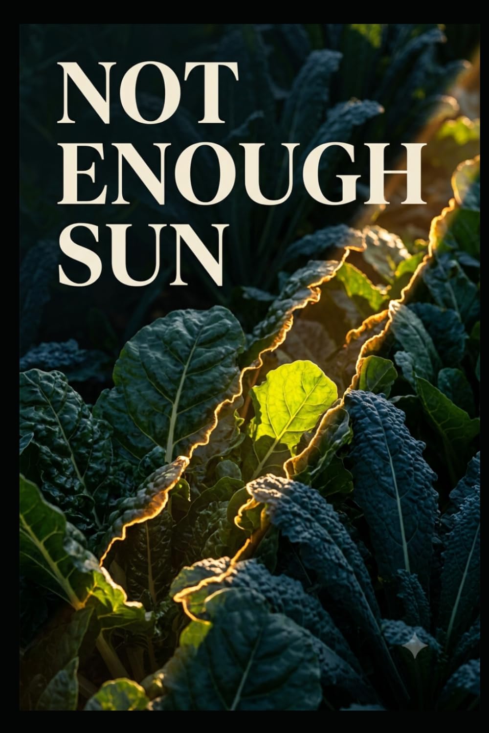 Not Enough Sun: The Shade Gardener’s Guide to Growing Food — Reading Your Light, Picking Crops That Deliver, and Skipping the Ones That Won’t baixar livro de graça