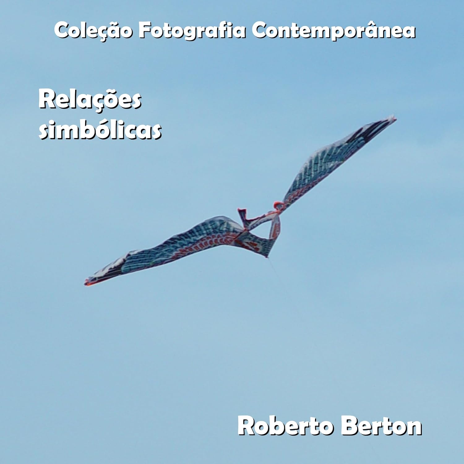 Relações simbólicas (Coleção Fotografia Contemporânea) baixar livro de graça