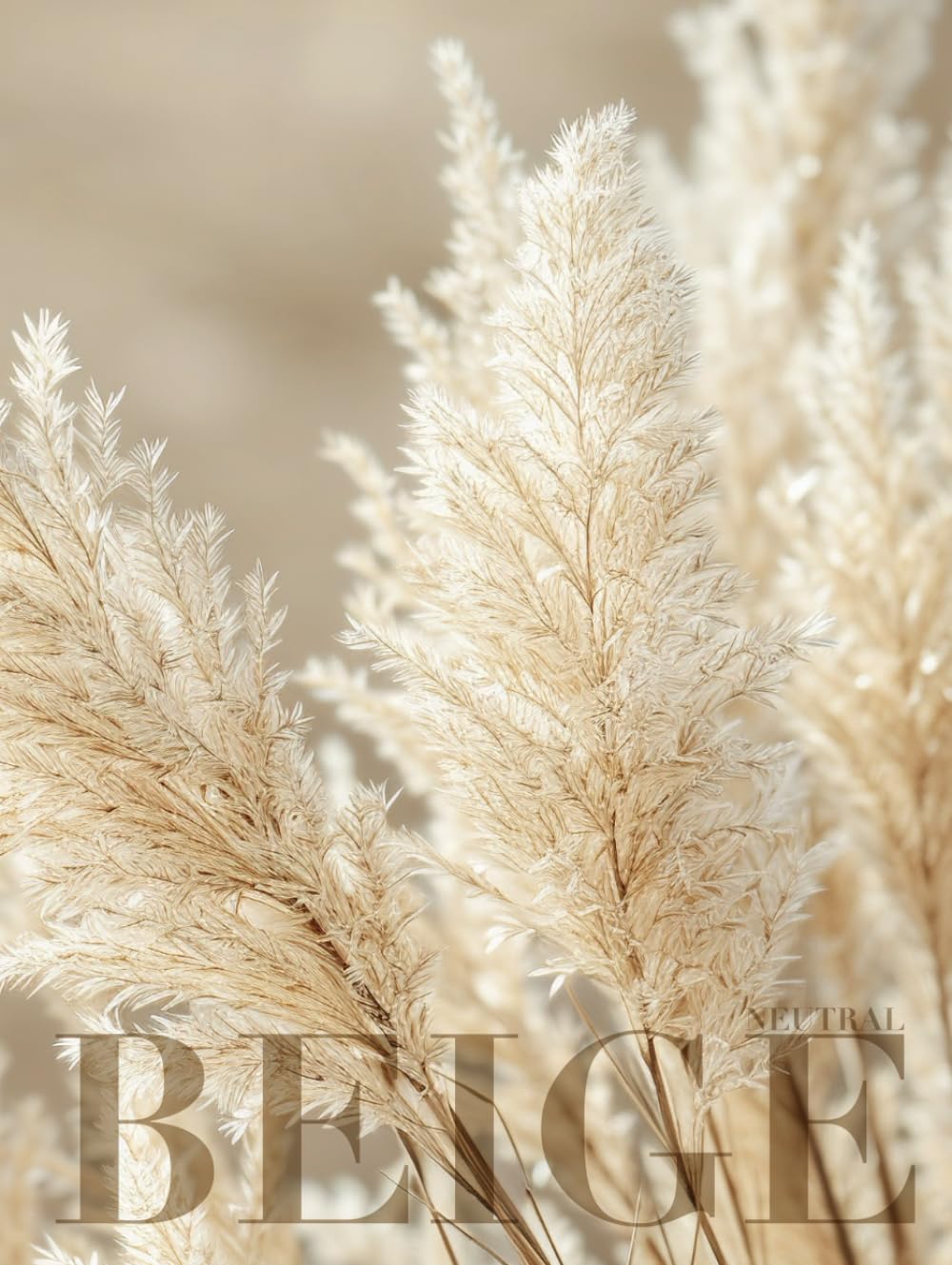 Neutral Beige: Large Decorative Coffee Table Book, Dry Pampas Elegant Boho Decor Accent, A Very Pretty Object To Add Levels, Substance and Visual Weight, Blank Numbered Interior baixar o livro de graça