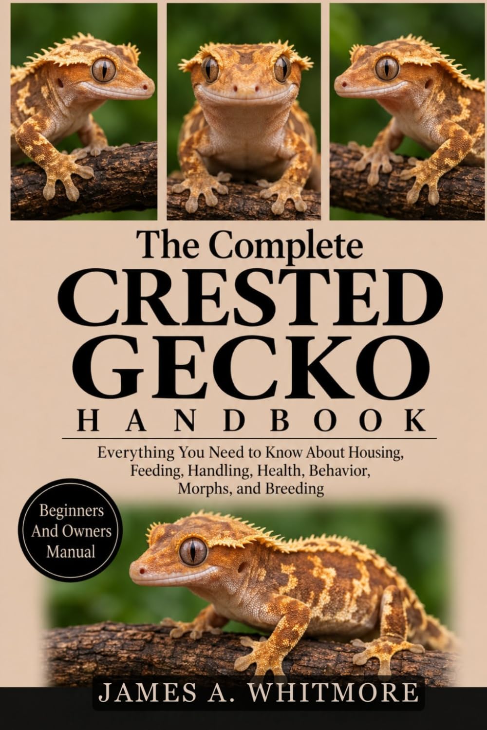 The Complete Crested Gecko Handbook: Everything You Need to Know About Housing, Feeding, Handling, Health, Behavior, Morphs, and Breeding baixar o livro de graça