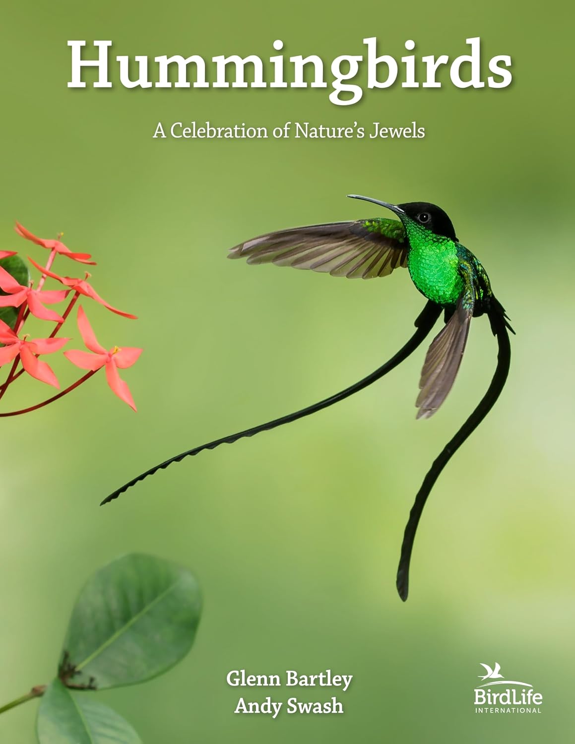 capítulo por capítulo baixar Hummingbirds: A Celebration of Nature's Jewels: 27