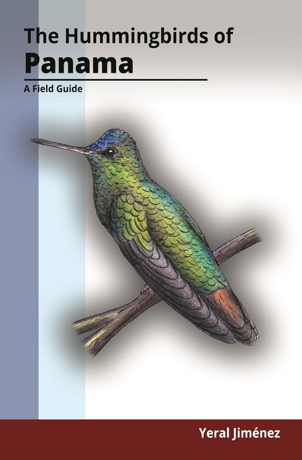 The Hummingbirds of Panama: A Field Guide (Hummingbirds Field Guides) (English Edition) baixar livro de graça