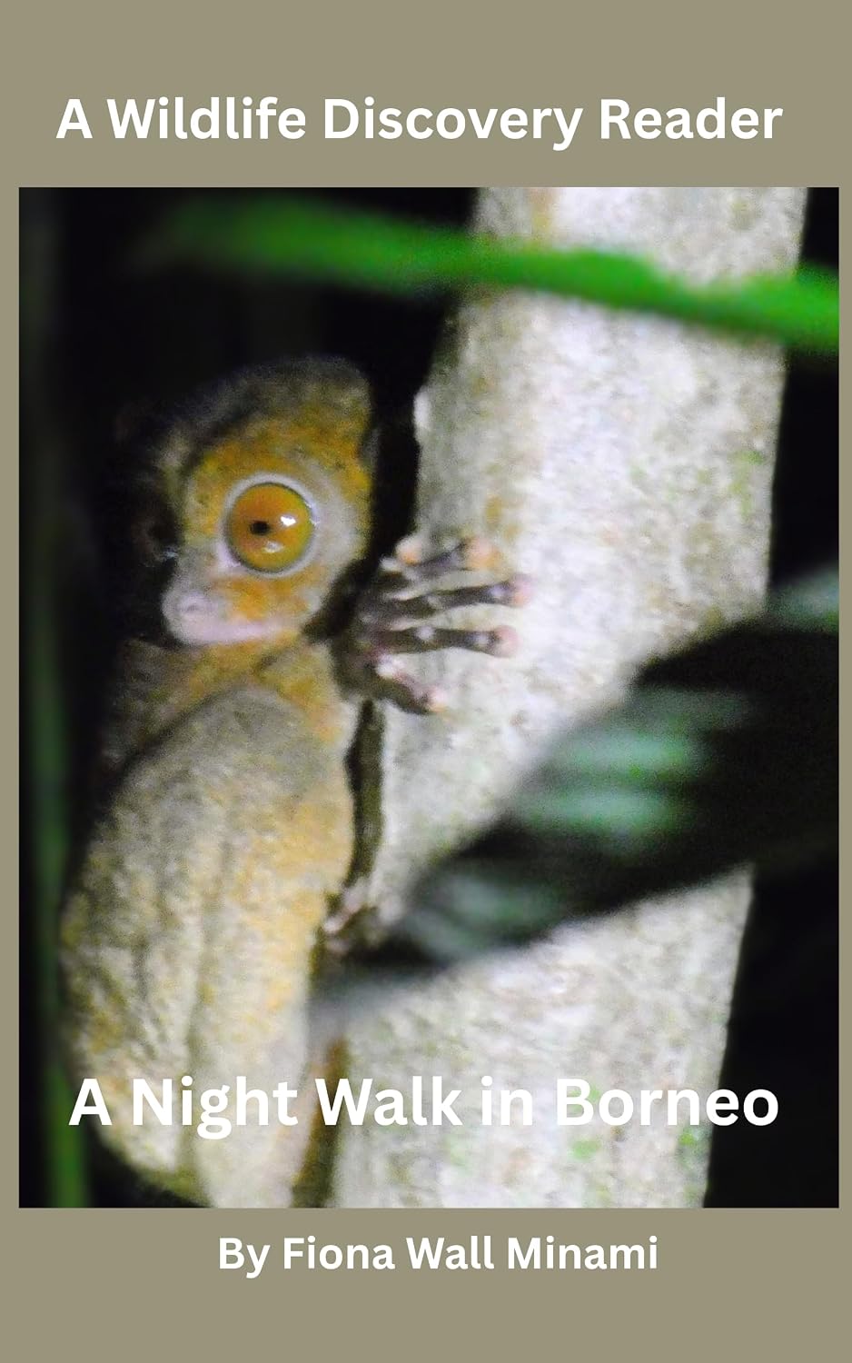 A Night Walk in Borneo: A Wildlife Discovery Reader (English Edition) baixar o livro de graça