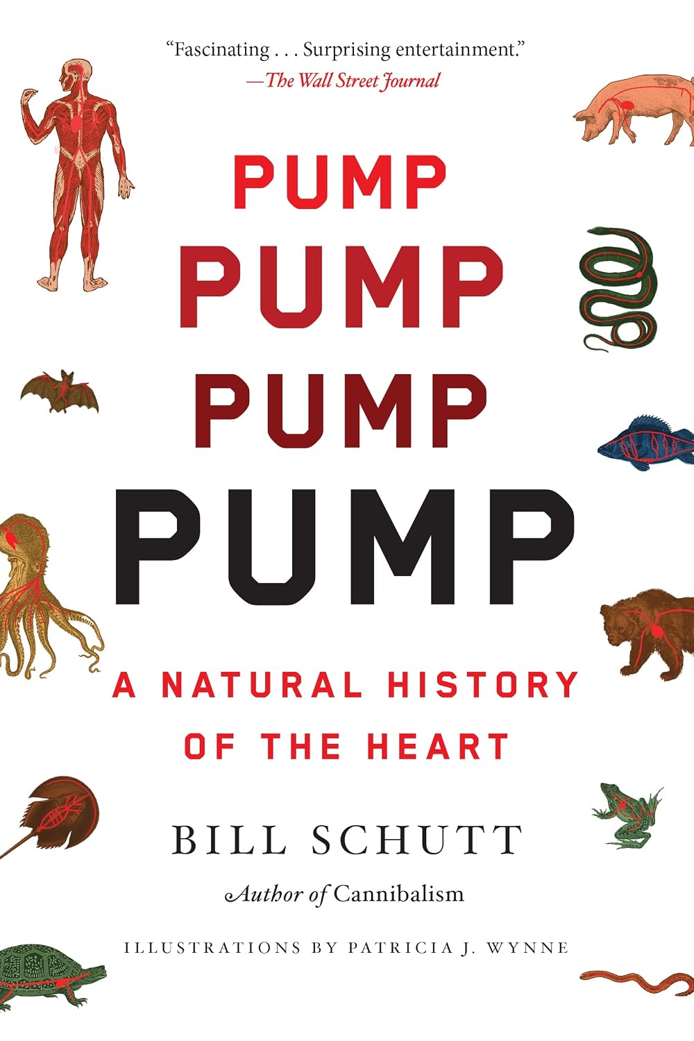 Pump: A Natural History of the Heart (English Edition)