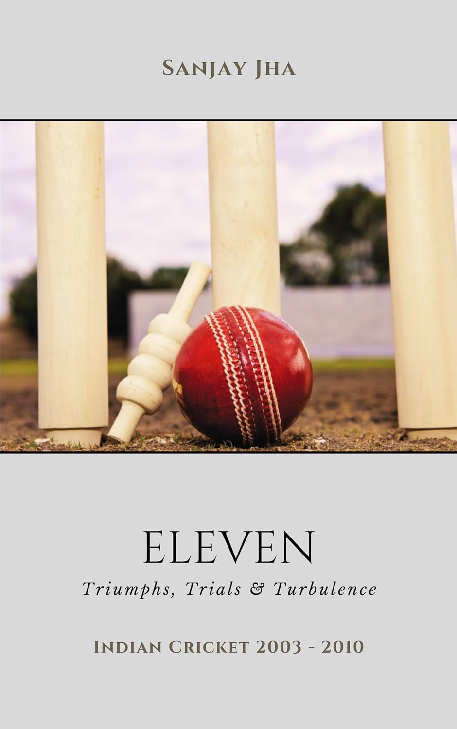 Eleven: Triumphs, Trials and Turbulence (English Edition) baixar o livro de graça