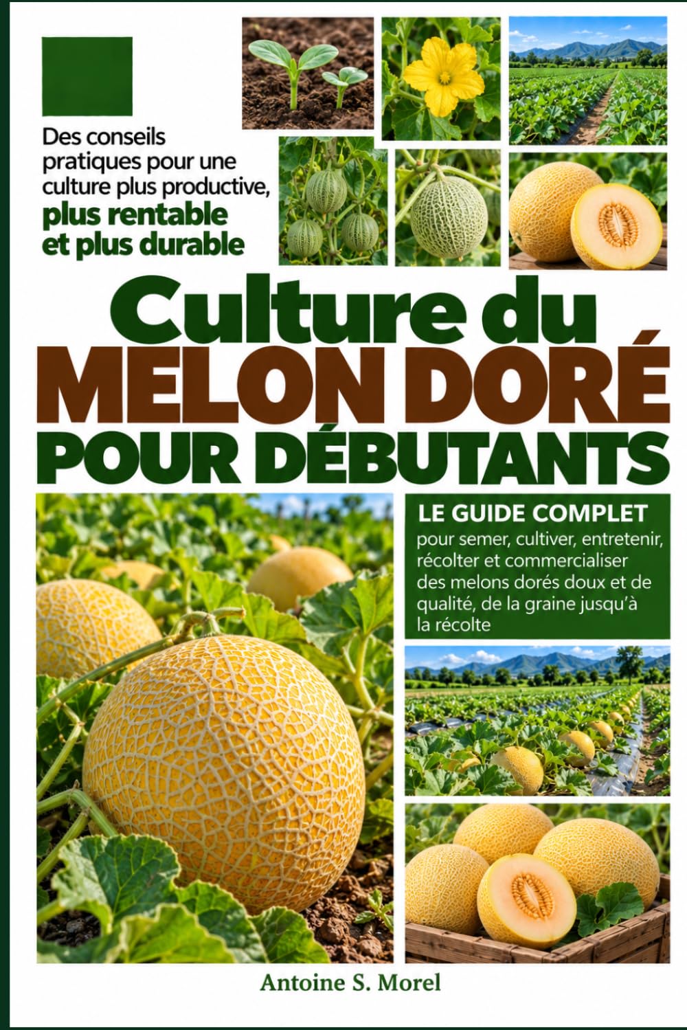 ler totalmente CULTURE DU MELON DORÉ POUR DÉBUTANTS: Le guide complet pour semer, cultiver, entretenir, récolter et commercialiser des melons dorés doux et de... la graine jusqu’à la récolte (French Edition)