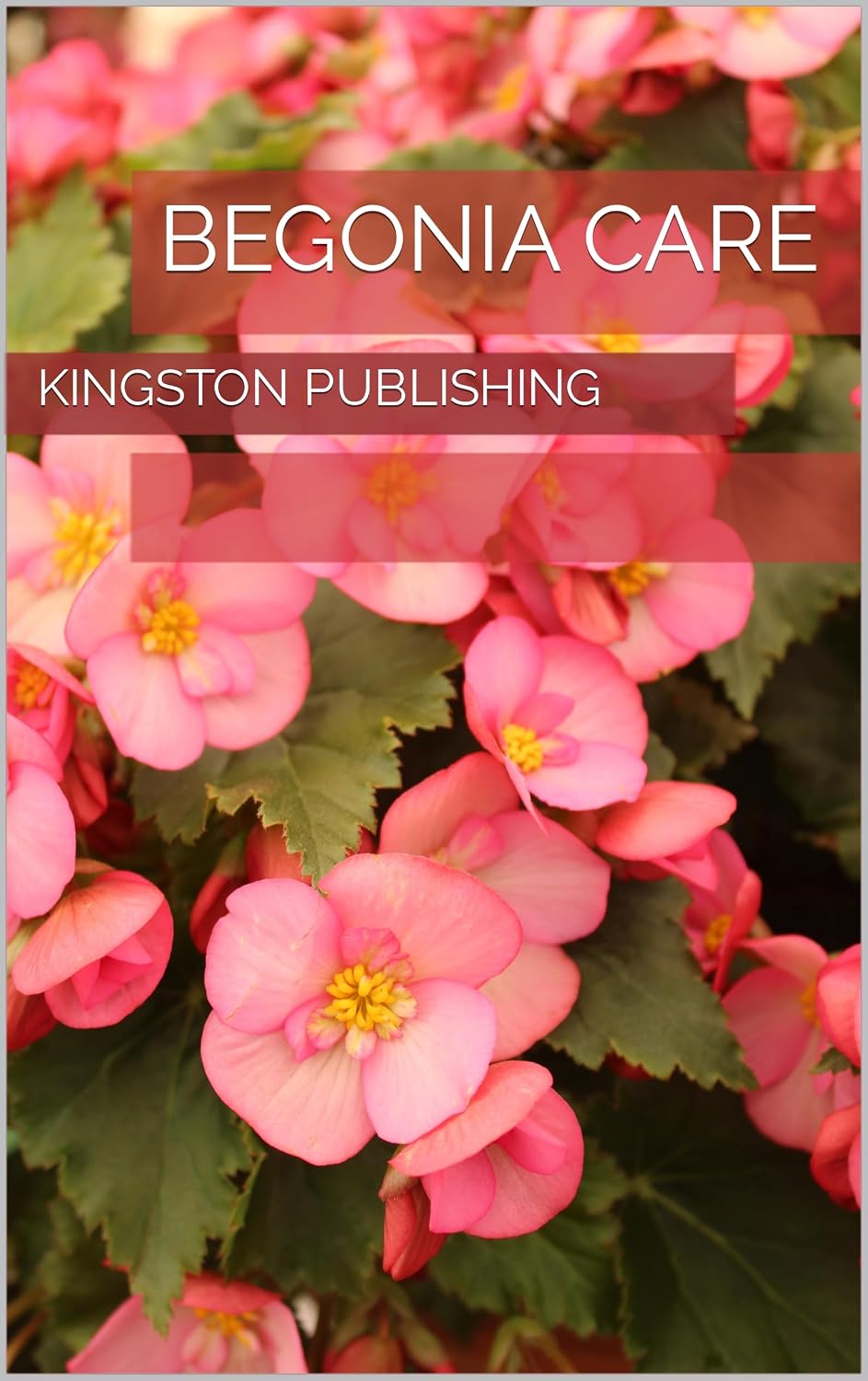 Begonia Care (Stunning Potted Flowers) (English Edition) baixar o livro de graça