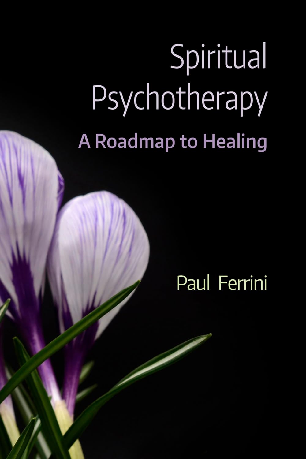ler totalmente Spiritual Psychotherapy: A Roadmap for Healing (English Edition)