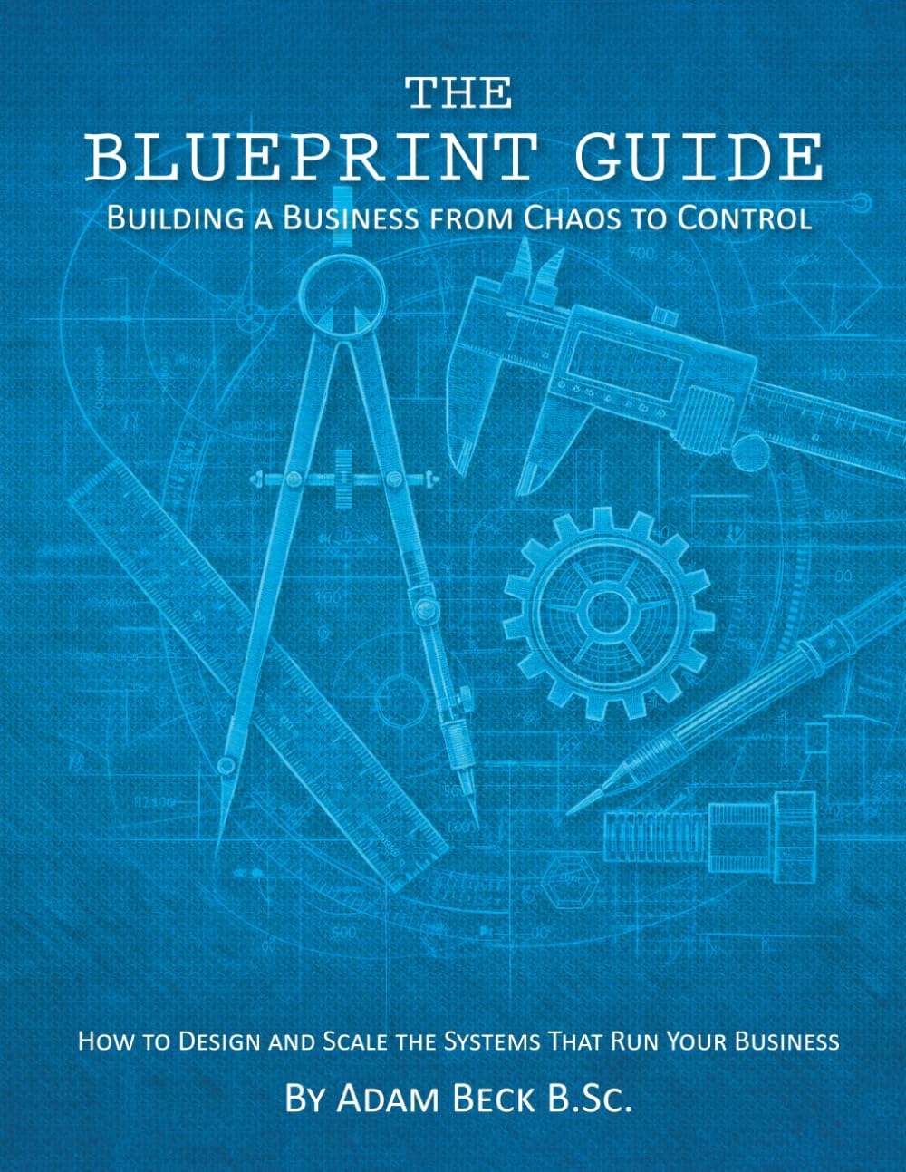 The Blueprint Guide: Building a business from chaos to control: How to design and scale the systems that run your business baixar o livro de graça