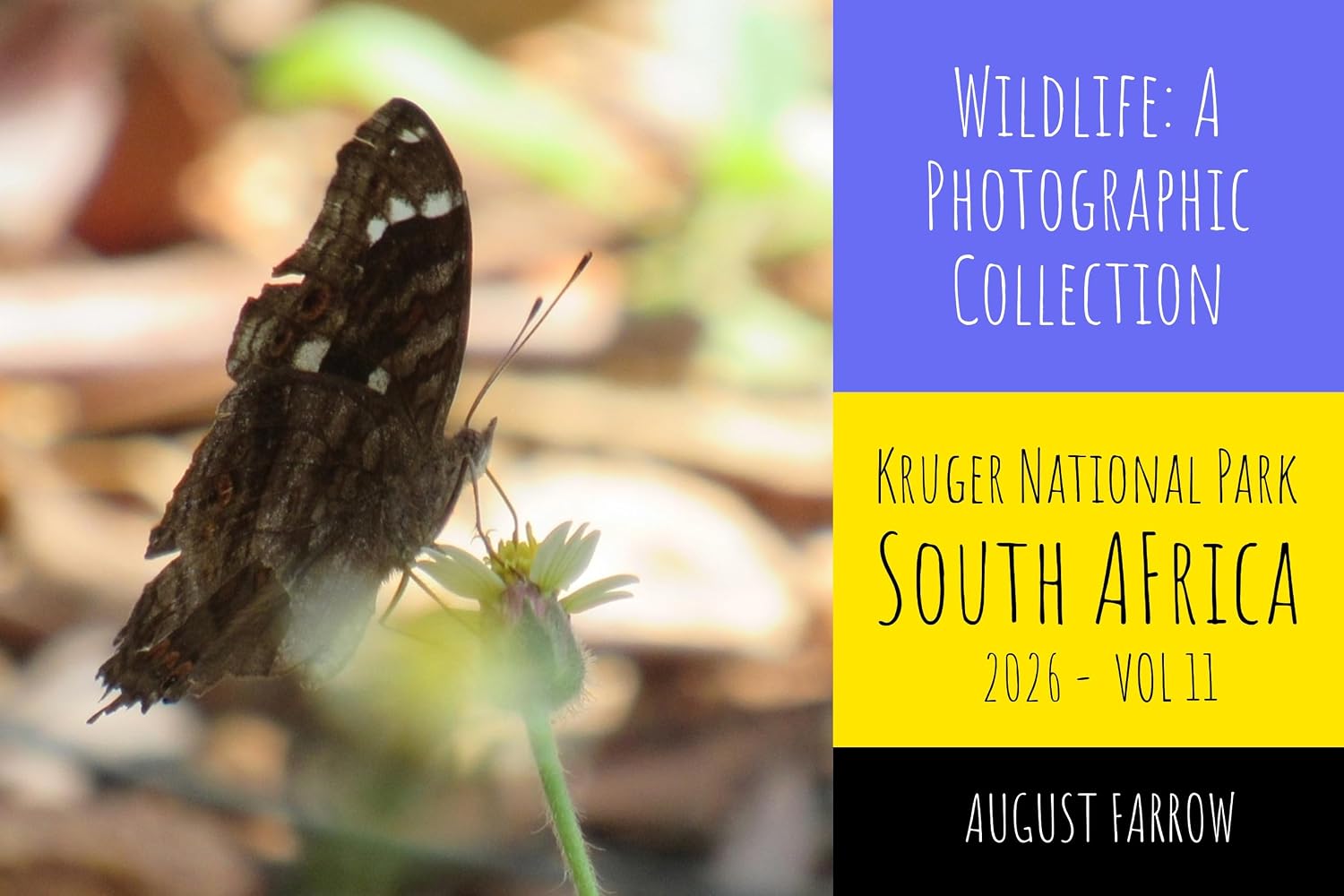 ler totalmente Wildlife: A Photographic Collection: Kruger National Park, South Africa – Vol 11 (Wildlife: Kruger National Park, South Africa) (English Edition)