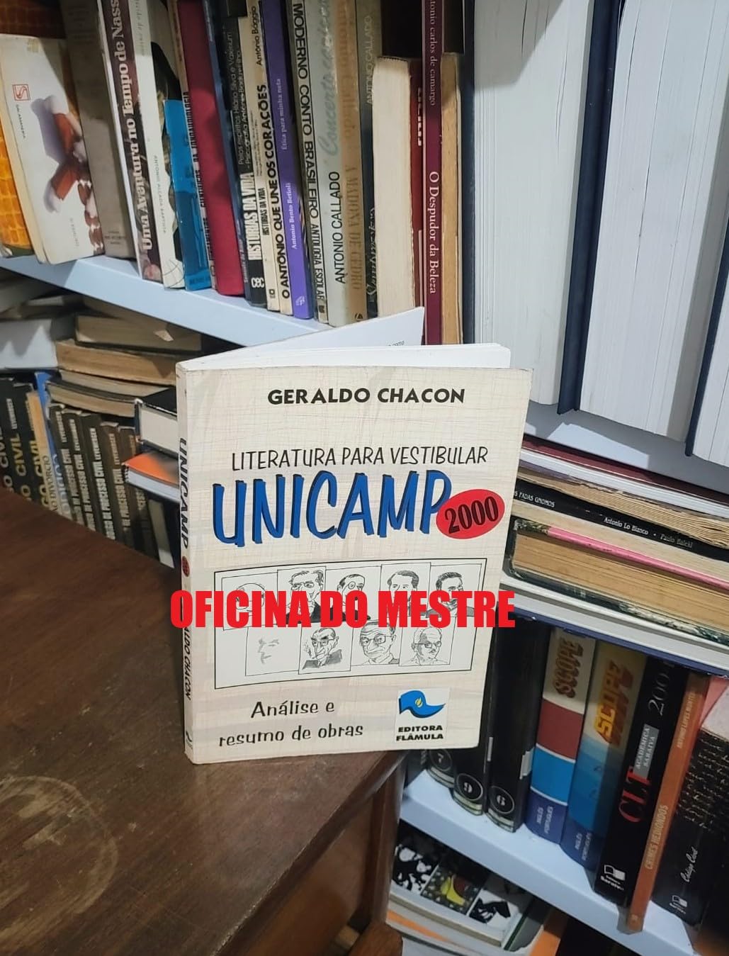 Literatura para vestibular: Unicamp 2000 (análise e resumo de obras) baixar o livro de graça