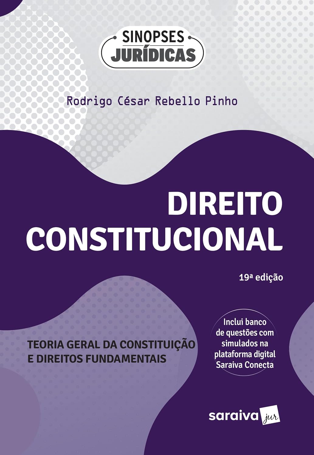 Direito Constitucional -Teoria Geral da Constituição e Direitos Fundamentais -19ª Edição 2024 baixar livro de graça