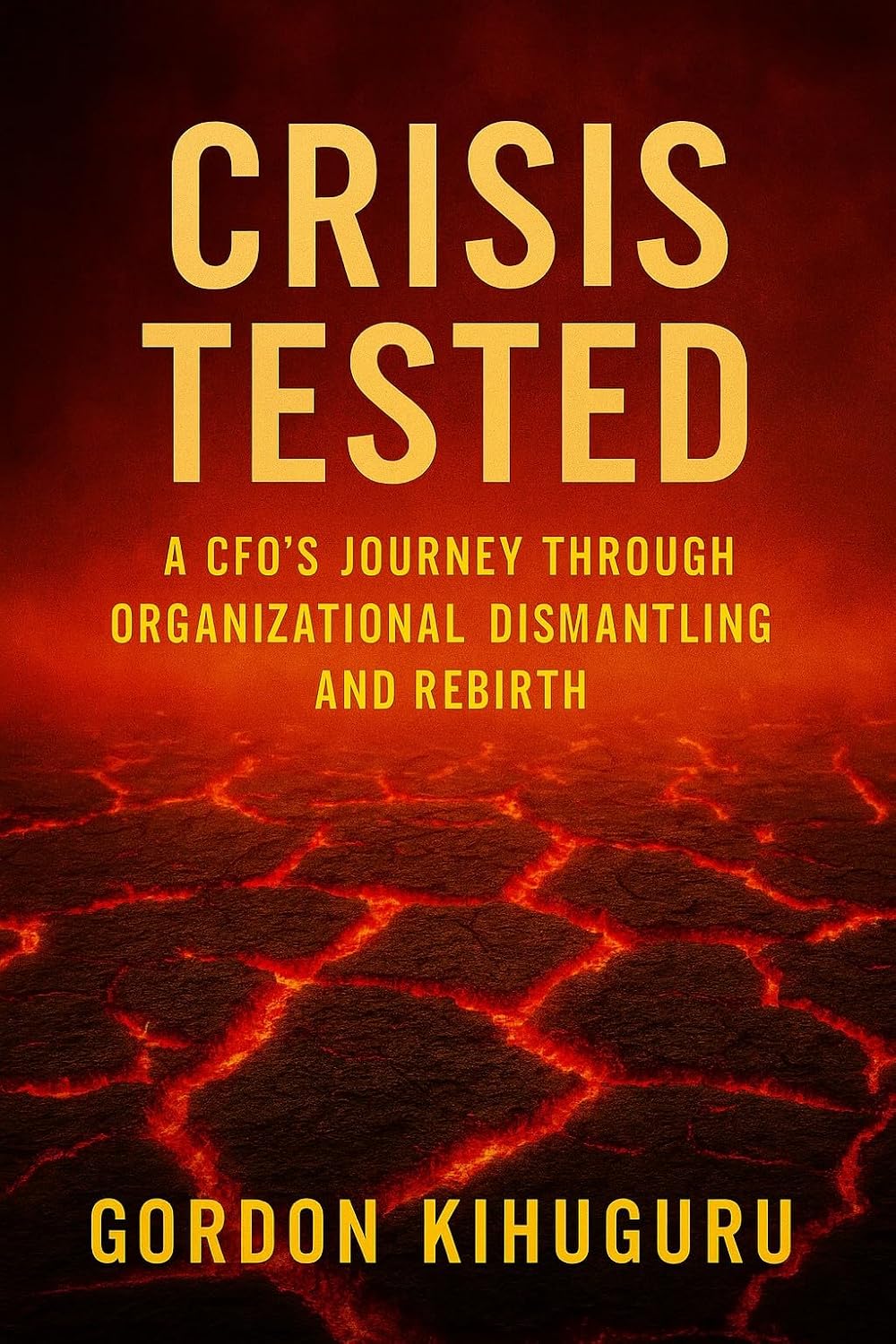 Crisis Tested: A CFO's Journey Through Organizational Dismantling and Rebirth (English Edition) baixar livro de graça
