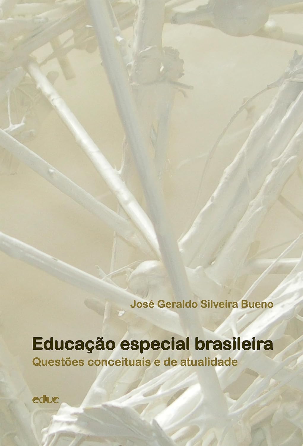 Educação especial brasileira: questões conceituais e de atualidade baixar o livro de graça