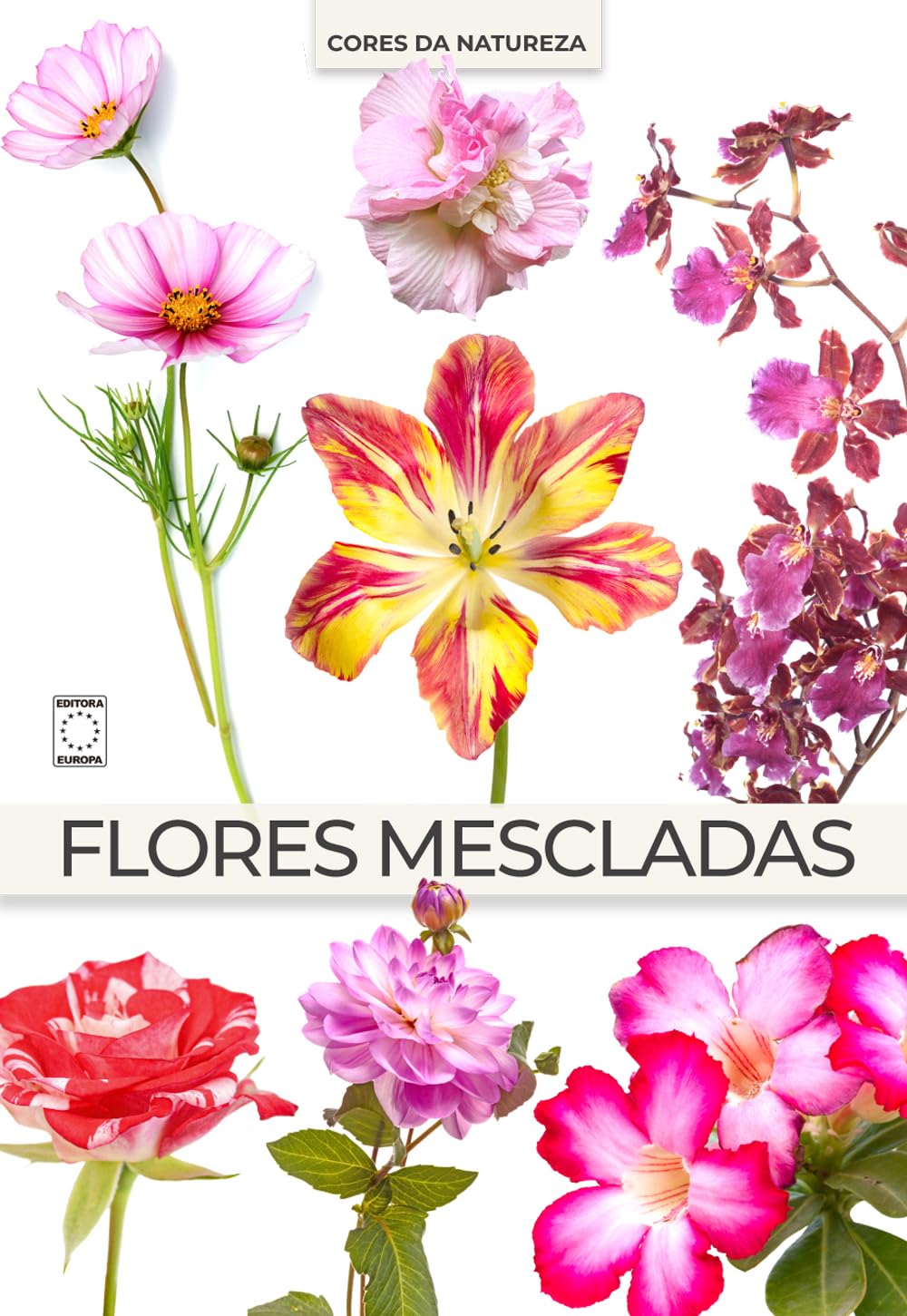 Coleção Cores da Natureza - Flores Mescladas baixar o livro de graça