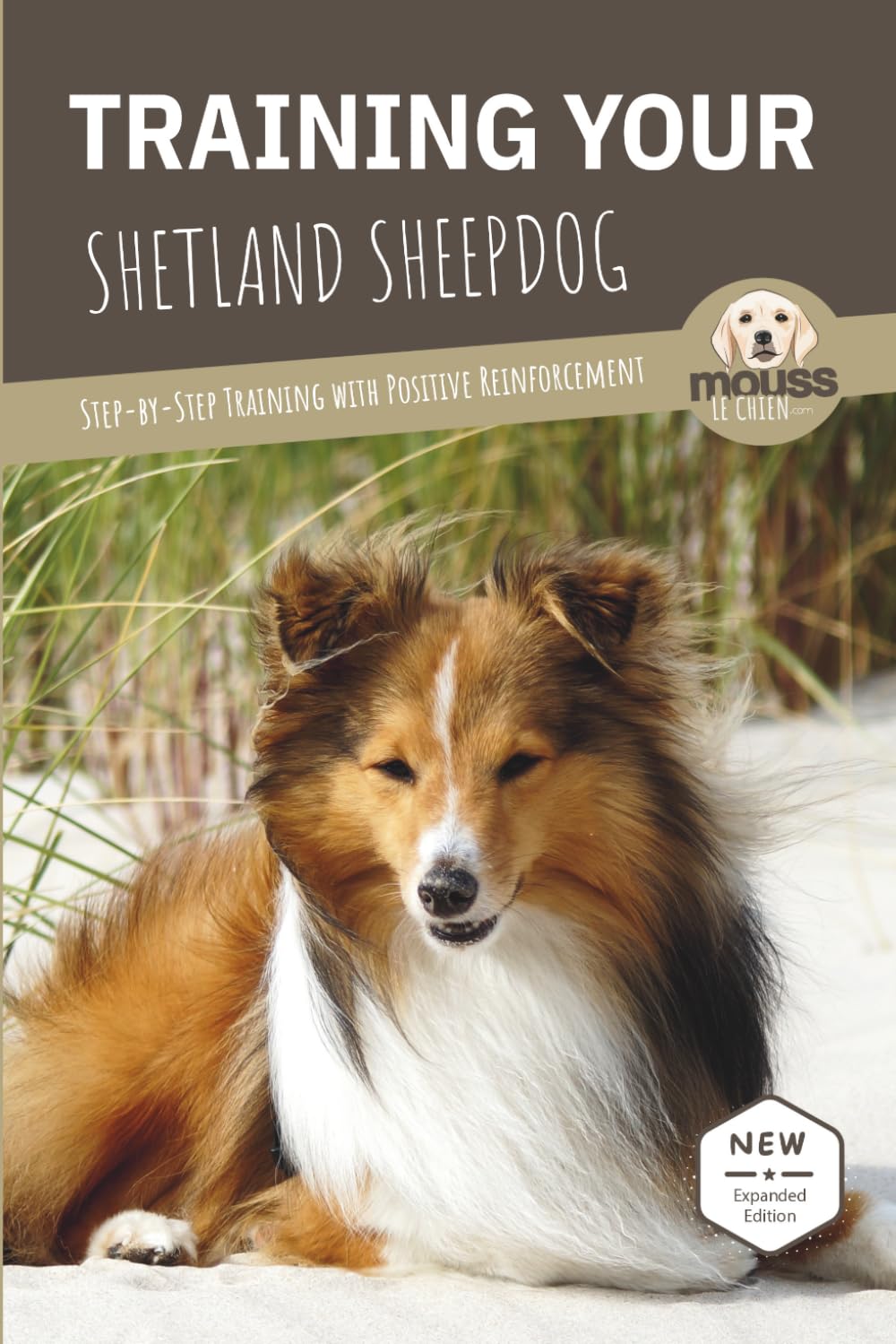 capítulo por capítulo baixar Training Your Shetland Sheepdog: Step-by-Step Training with Positive Reinforcement