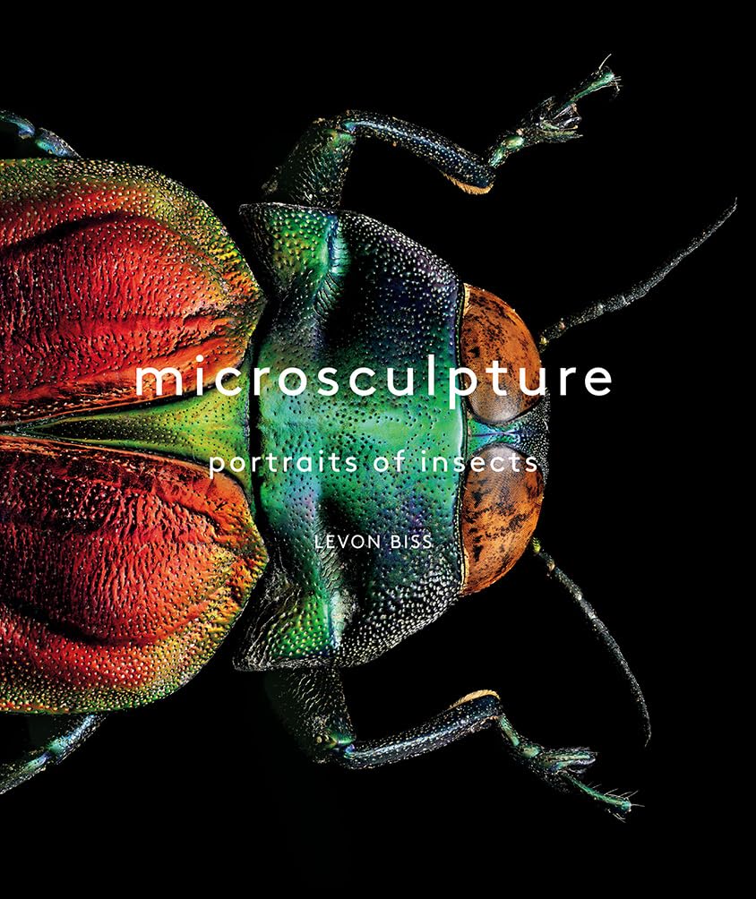 capítulo por capítulo baixar Microsculpture: Portraits of Insects