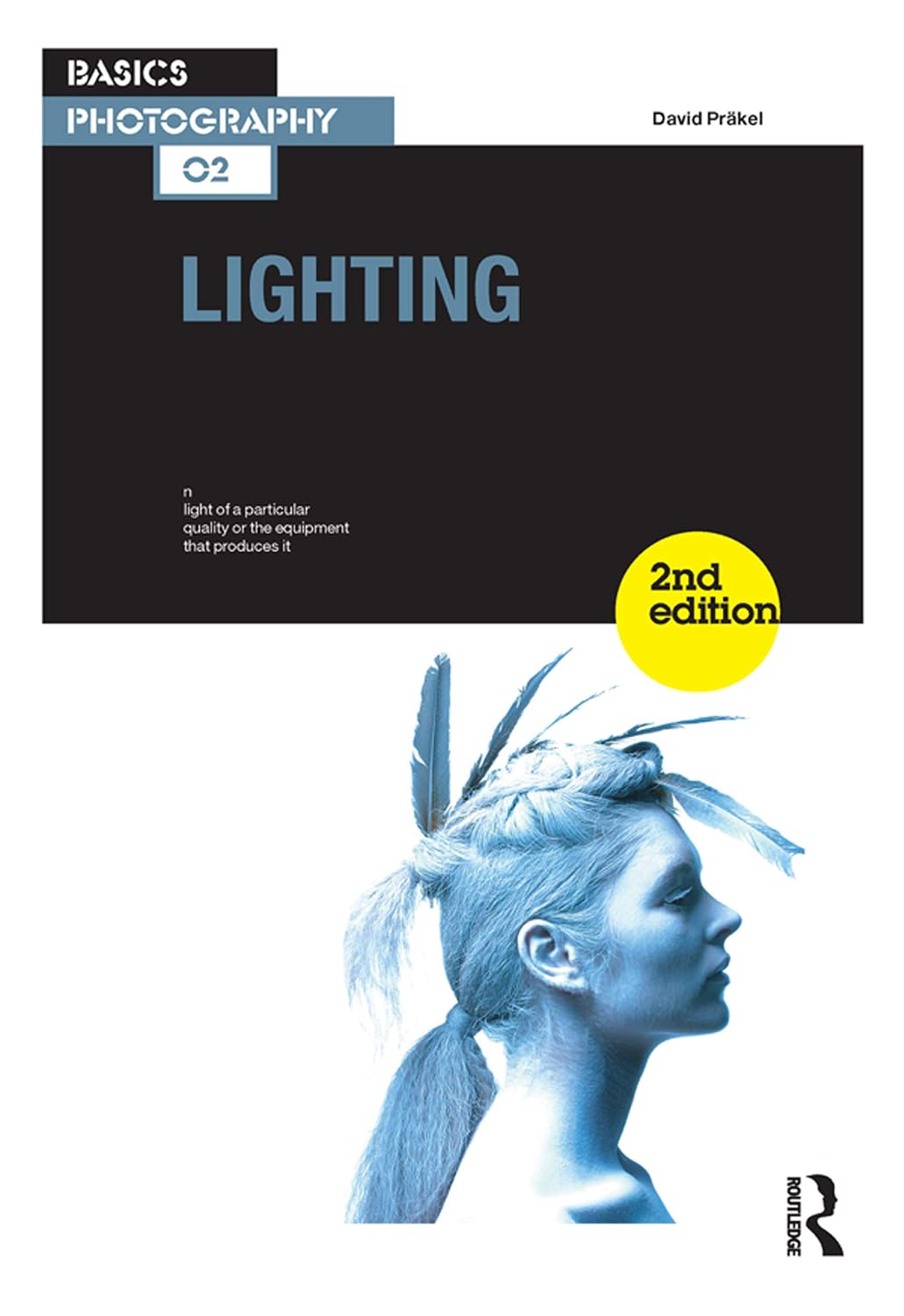 ler totalmente Lighting (English Edition)