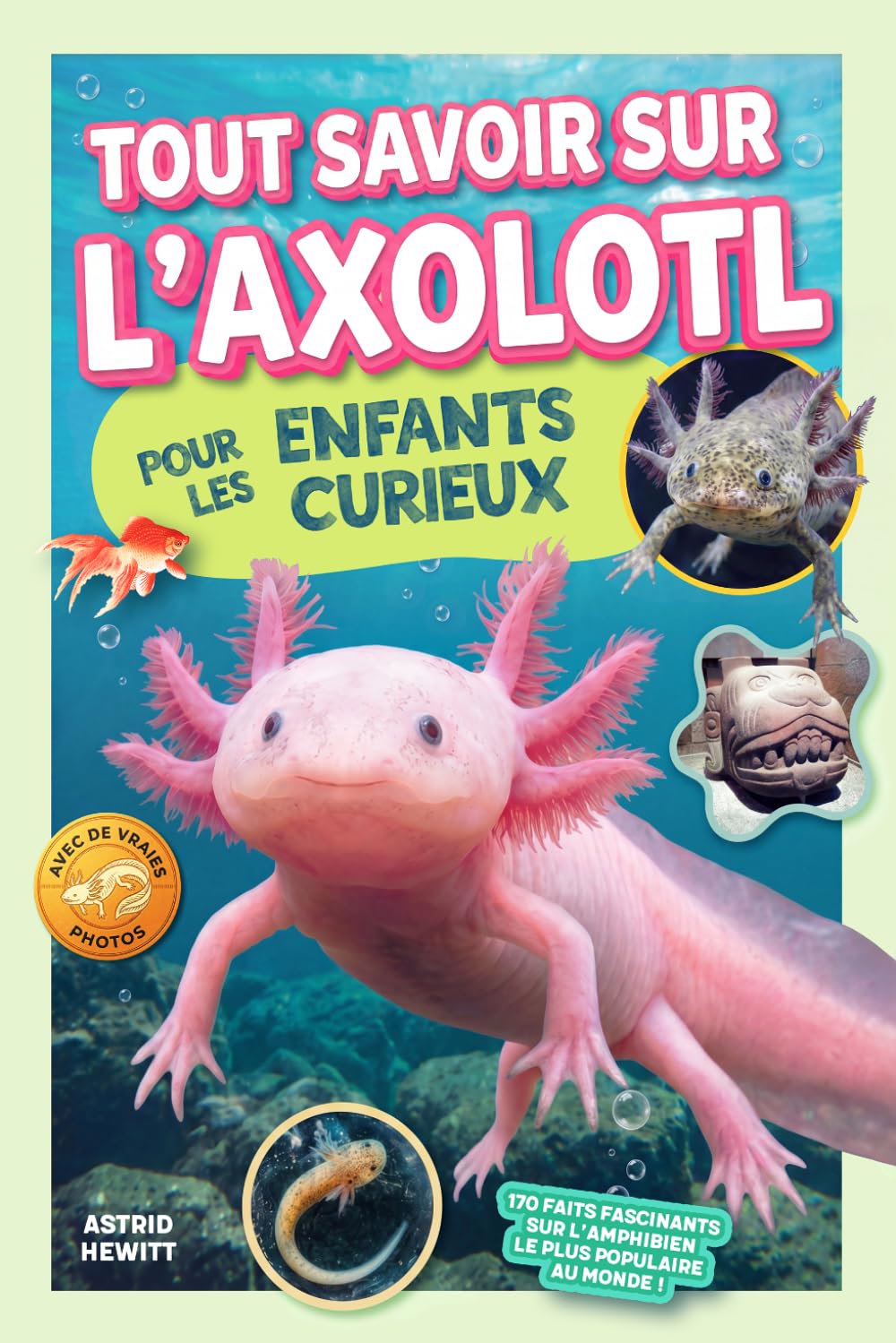 Tout savoir sur l’axolotl pour les enfants curieux: 170 faits fascinants sur l’amphibien le plus populaire au monde ! (French Edition) baixar livro de graça