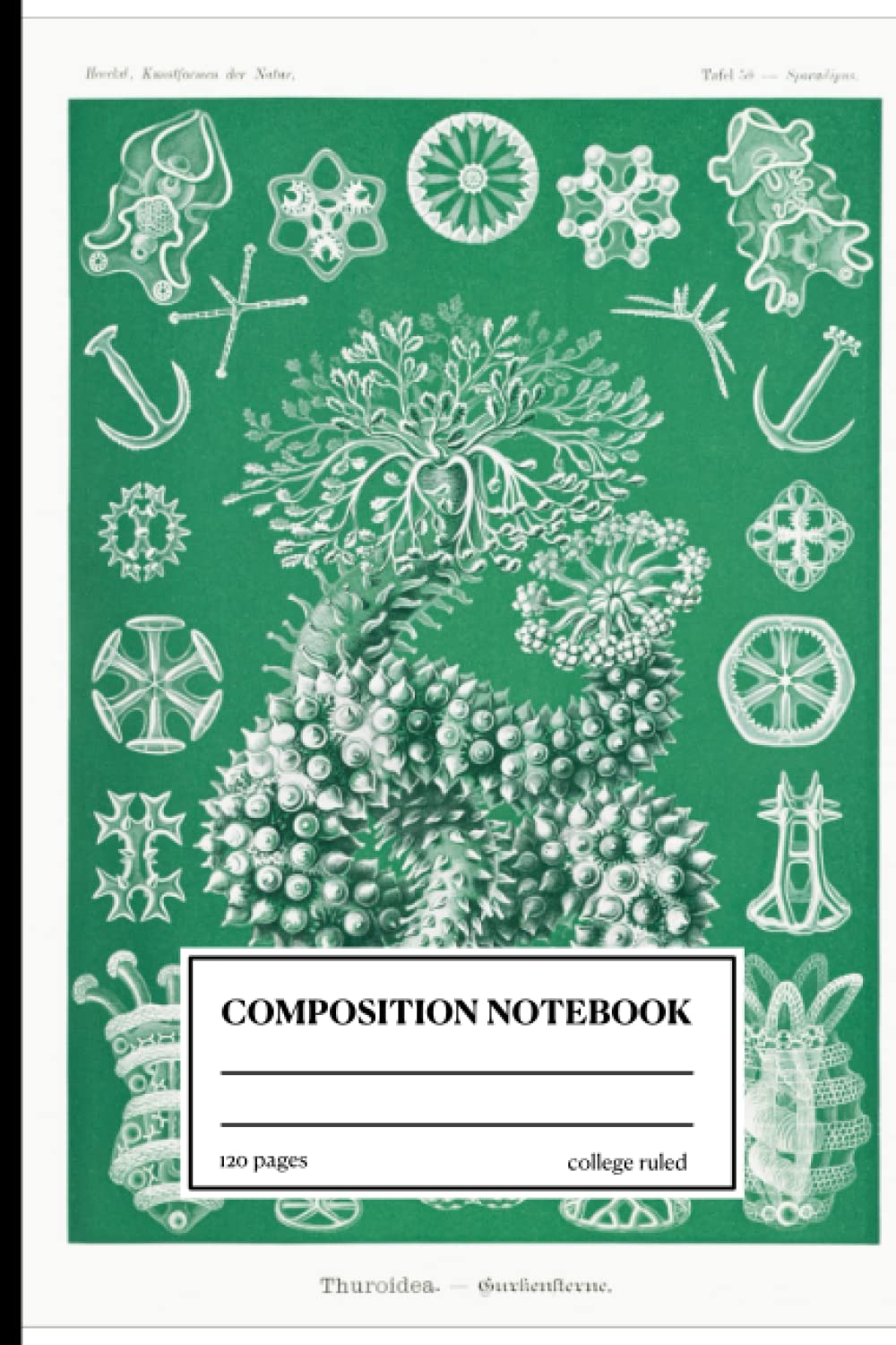 ler totalmente Composition Notebook - Ernst Haeckel Illustration: Lined Notebook Journal (6" x 9") 120 White Pages