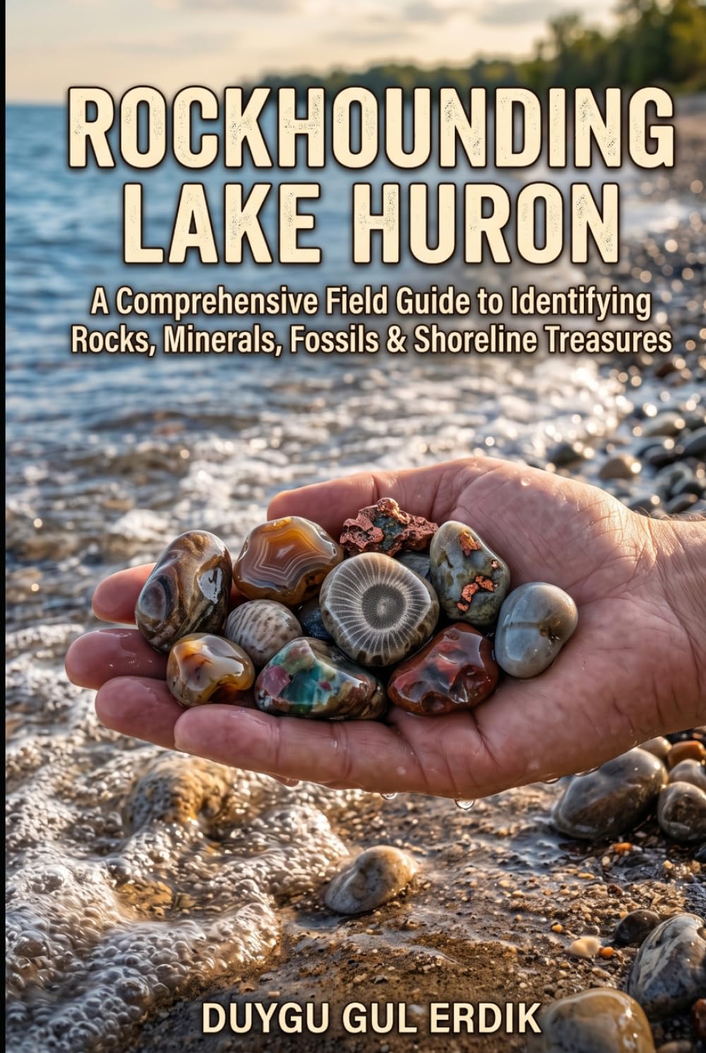 capítulo por capítulo baixar ROCKHOUNDING LAKE HURON: A Comprehensive Field Guide to Identifying Rocks, Minerals, Fossils & Shoreline Treasures (The Regional Rockhounding & Mineral Discovery Series)