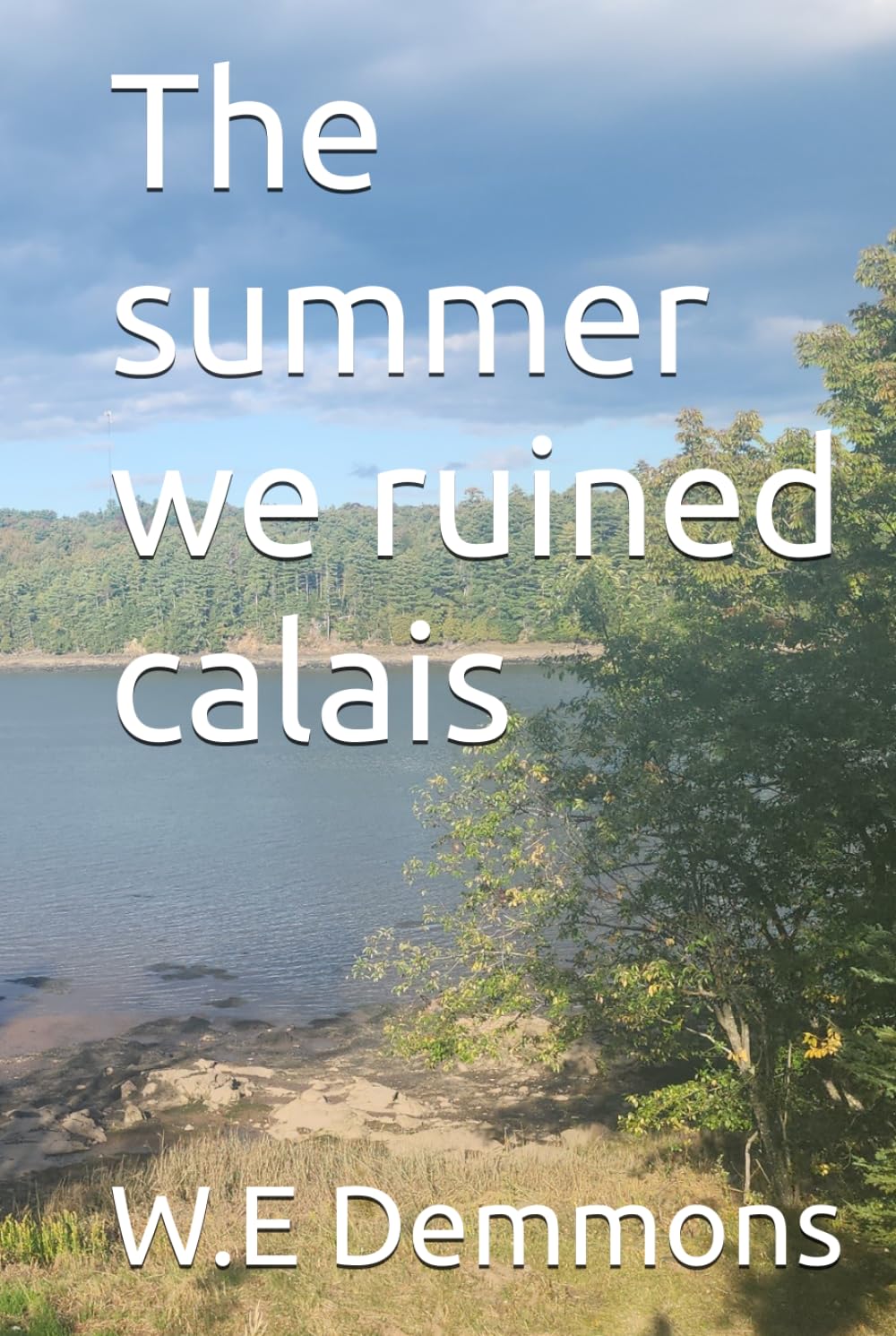 ler totalmente The summer we ruined calais