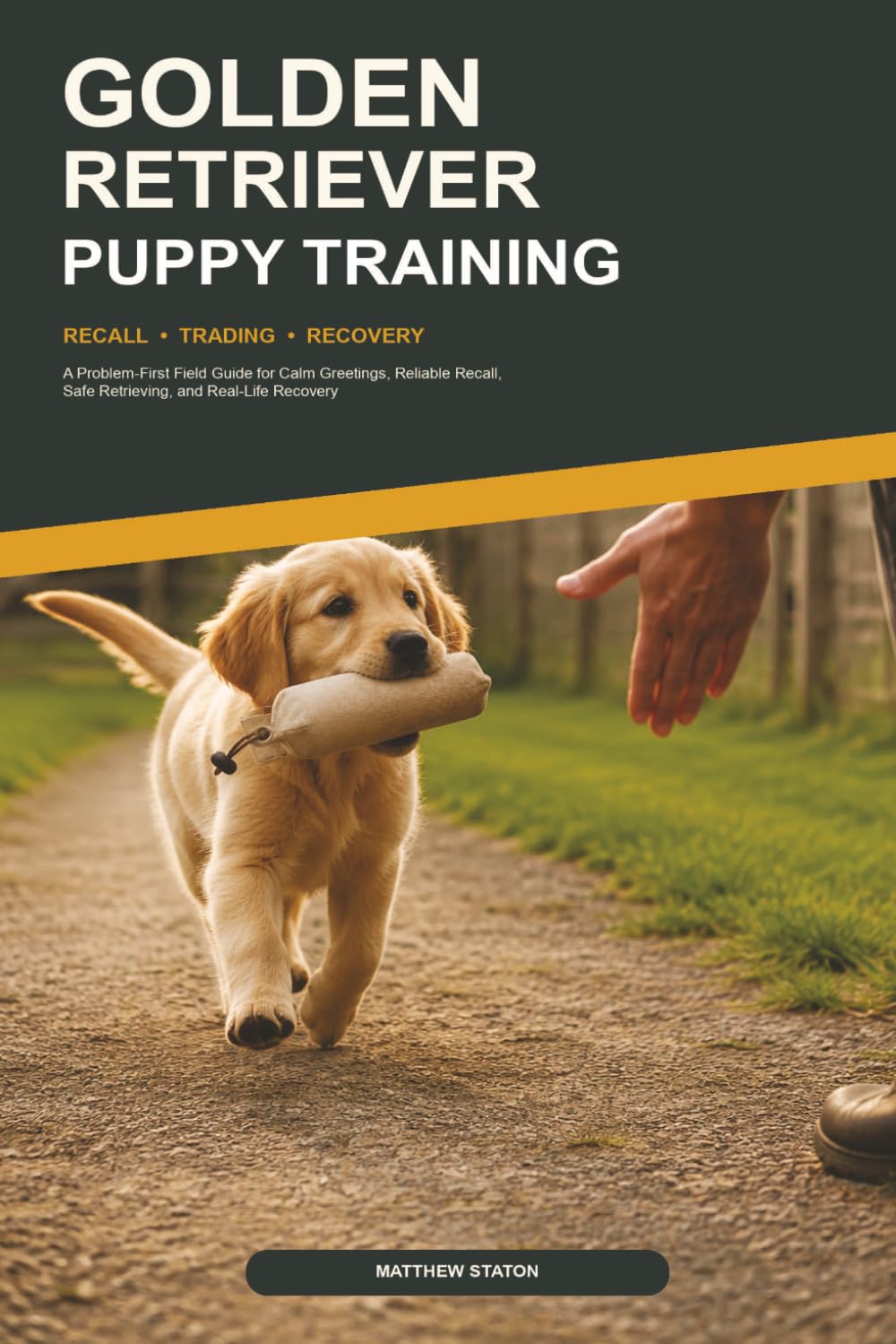 Golden Retriever Puppy Training: A Problem-First Field Guide for Calm Greetings, Reliable Recall, Safe Retrieving, and Real-Life Recovery baixar o livro de graça