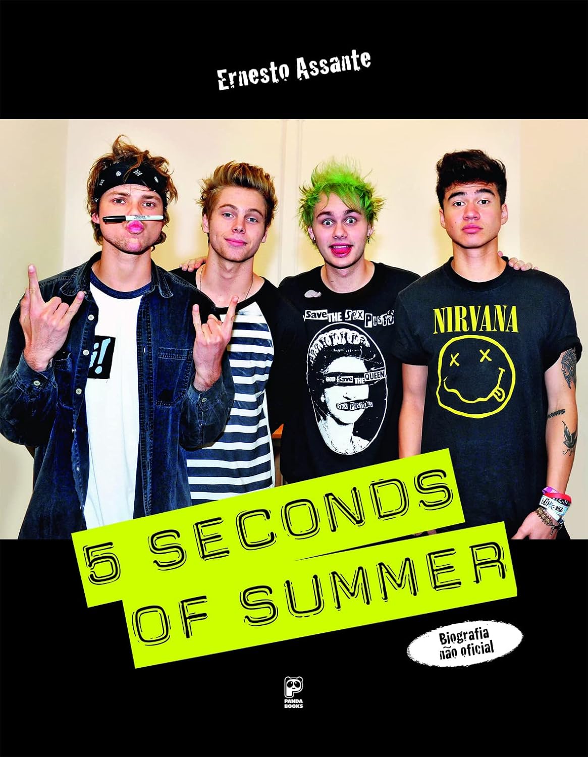 5 Seconds of Summer baixar o livro de graça