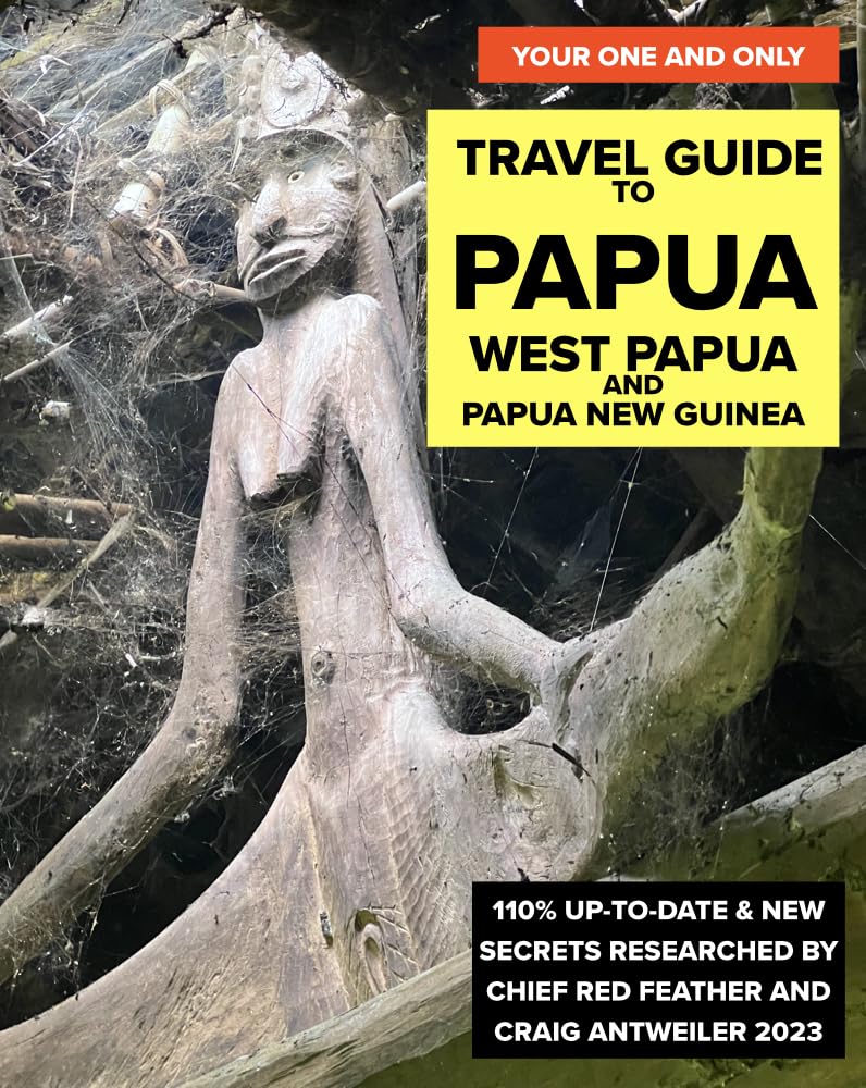 YOUR ONE AND ONLY Travel Guide to Papua: West Papua and Papua New Guinea (English Edition) baixar livro de graça