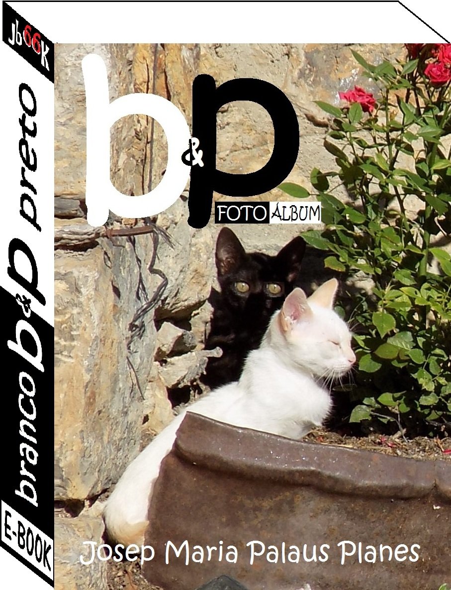 B & P (imagens) baixar o livro de graça