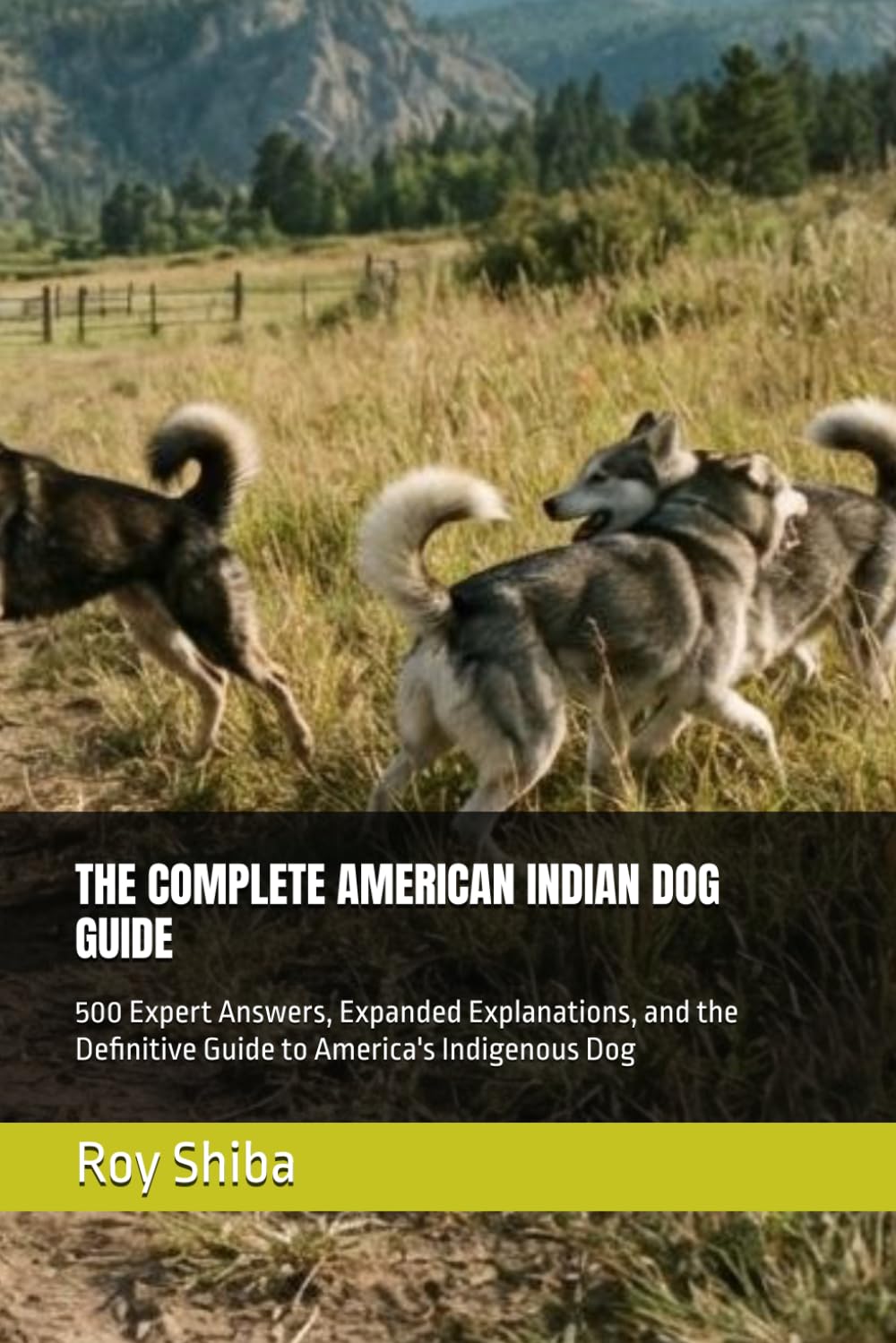 THE COMPLETE AMERICAN INDIAN DOG GUIDE: 500 Expert Answers, Expanded Explanations, and the Definitive Guide to America's Indigenous Dog (The Complete Dog Guide Series) baixar livro de graça
