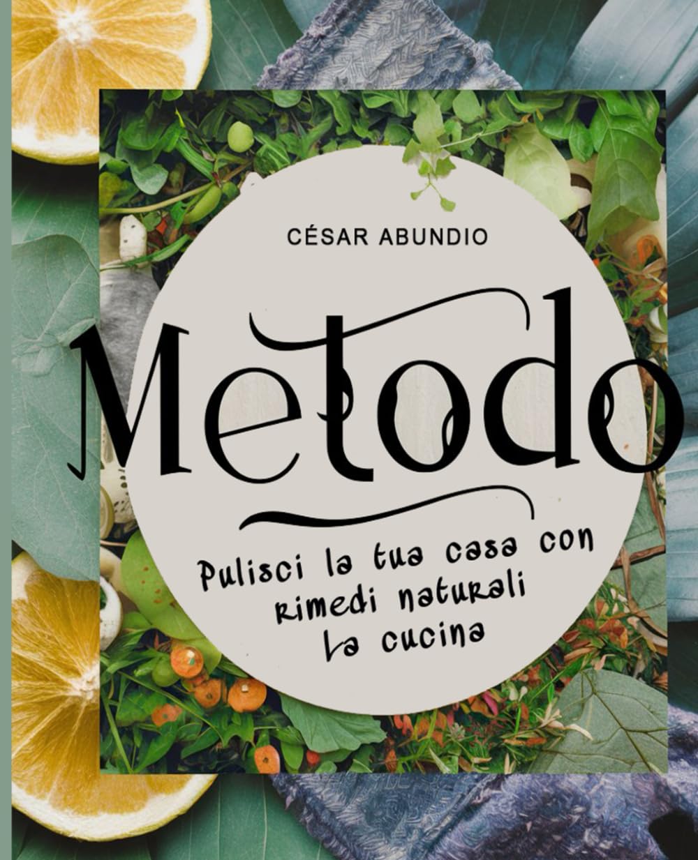 Metodo: Pulisci la tua casa con rimedi naturali. La cucina (DOMUS) (Italian Edition) baixar livro de graça