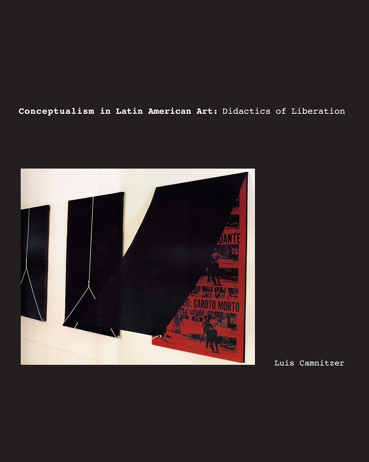 Conceptualism in Latin American Art: Didactics of Liberation baixar o livro de graça
