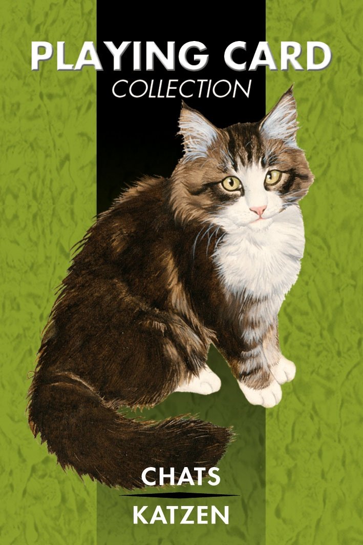 capítulo por capítulo baixar Cats