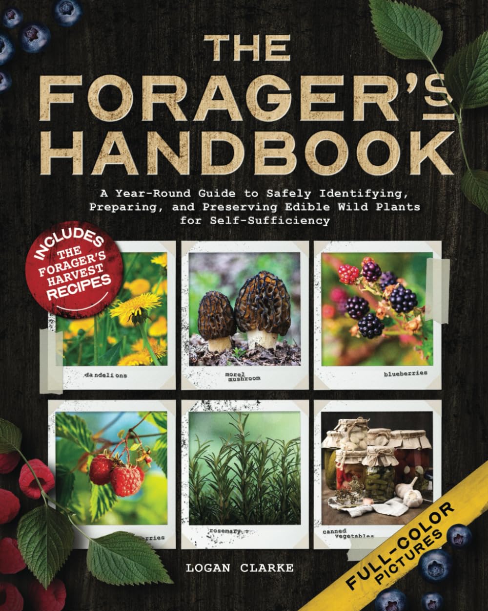 The Forager’s Handbook: A Year-Round Guide to Safely Identifying, Preparing, and Preserving Edible Wild Plants for Self-Sufficiency | Includes The Forager’s Harvest Recipes | FULL-COLOR Pictures baixar livro de graça