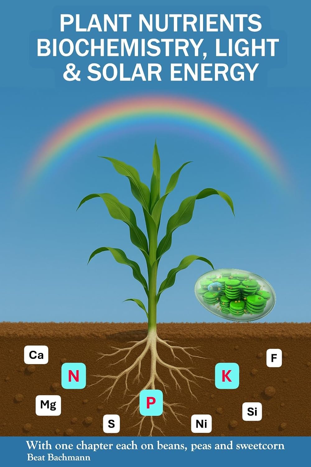 PLANT NUTRIENTS BIOCHEMISTRY, LIGHT SOLAR ENERGY: With one chapter each on beans, peas and sweet corn | For all who like the nature | Over 74 colored tables,... graphs | Format 6x9 inches (English Edition) baixar o livro de graça