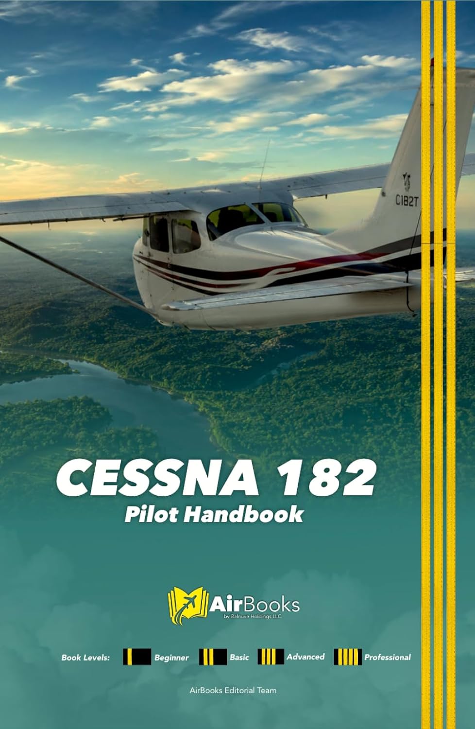 capítulo por capítulo baixar Cessna 182: Pilot Handbook. Premium Full Color Edition