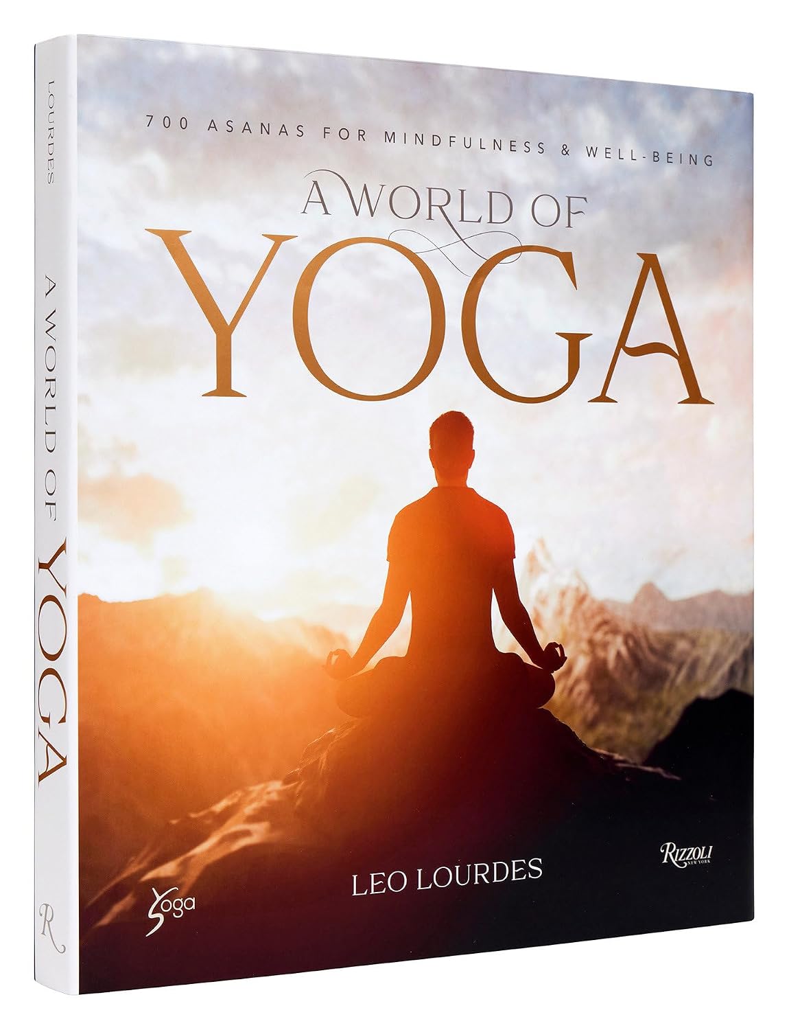 A World of Yoga: 700 Asanas for Mindfulness and Well-Being baixar o livro de graça