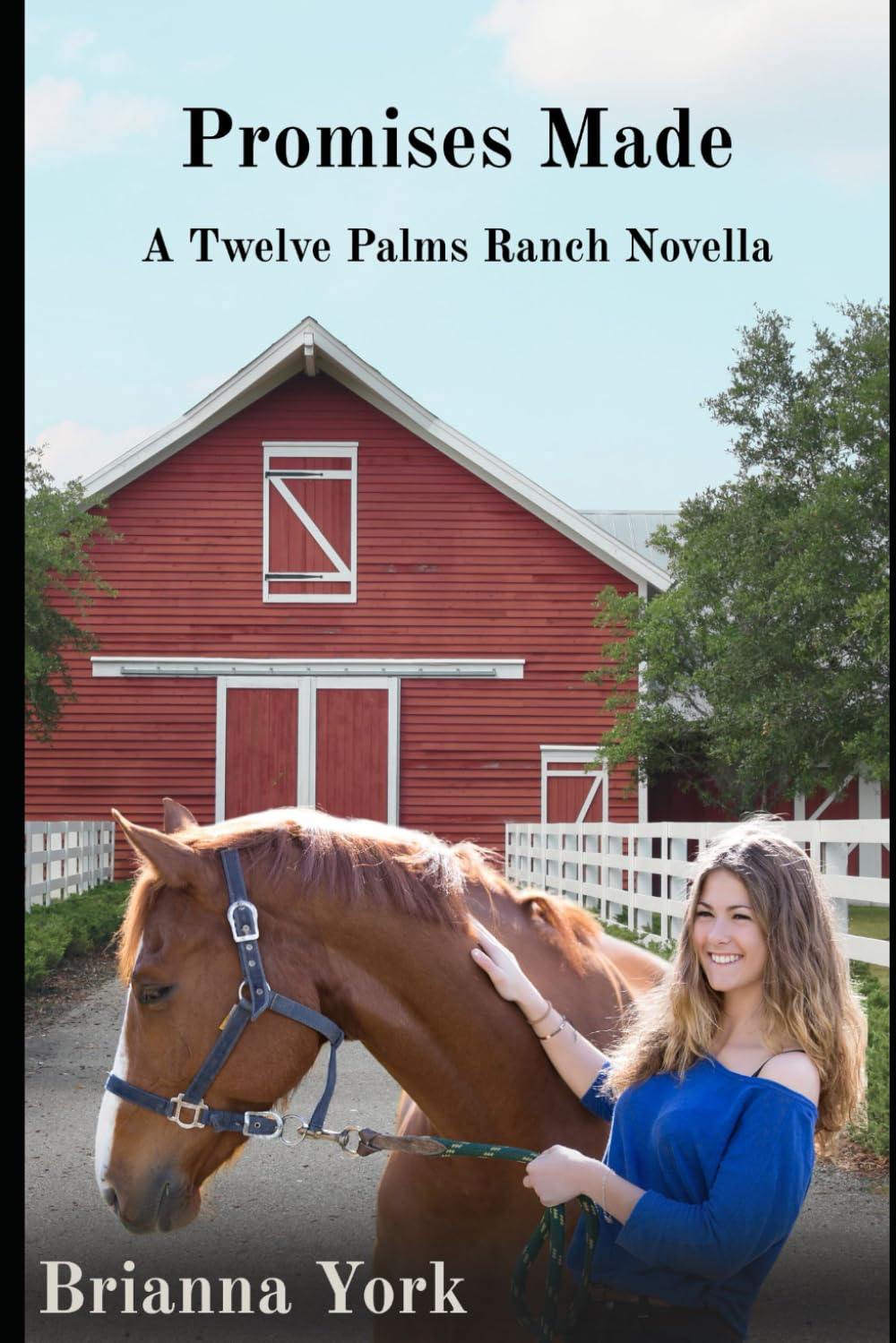 Promises Made: A Twelve Palms Ranch Novella baixar livro de graça