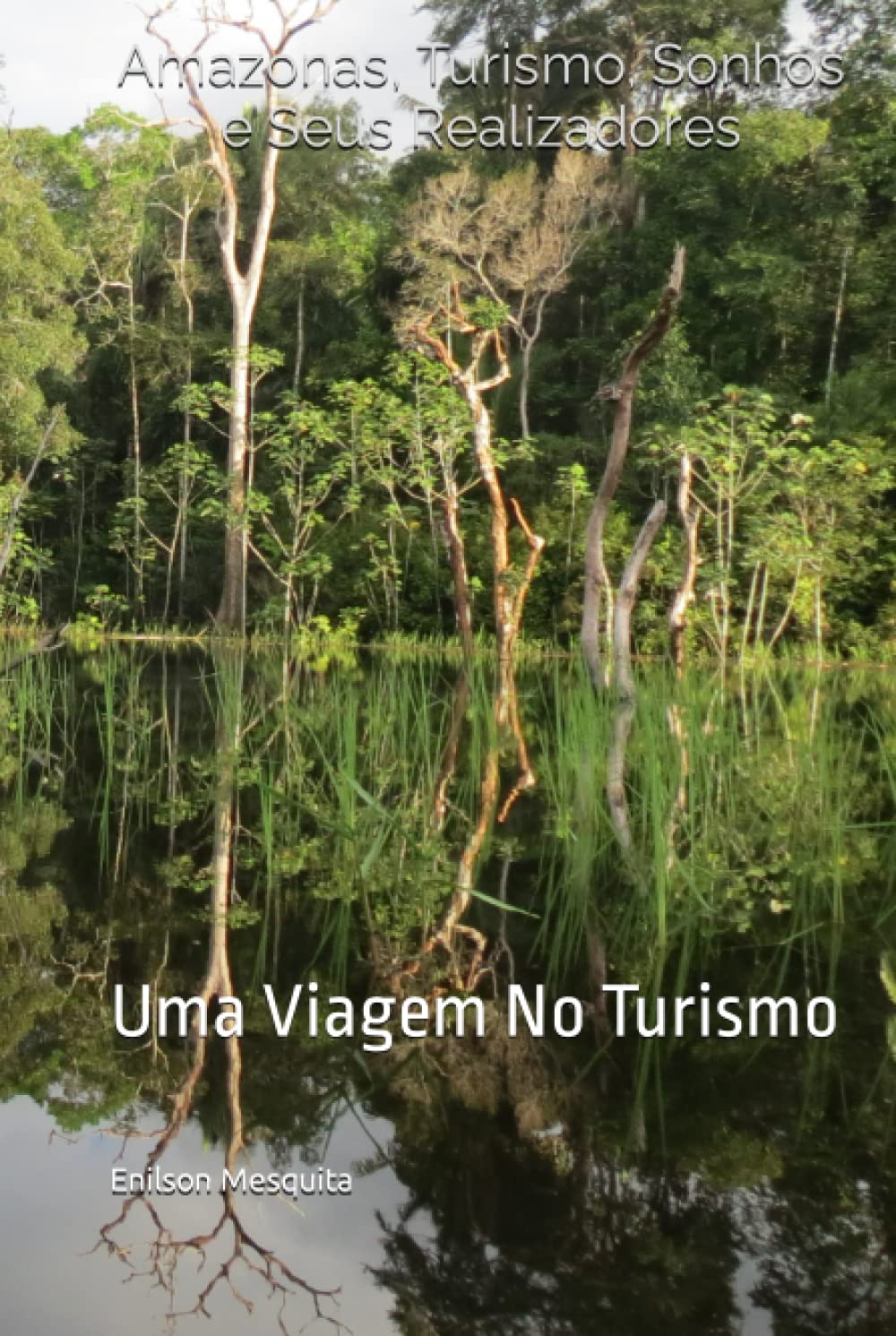 Amazonas, Sonhos e Seus Realizadores: Uma Viagem No Turismo (Portuguese Edition) baixar livro de graça