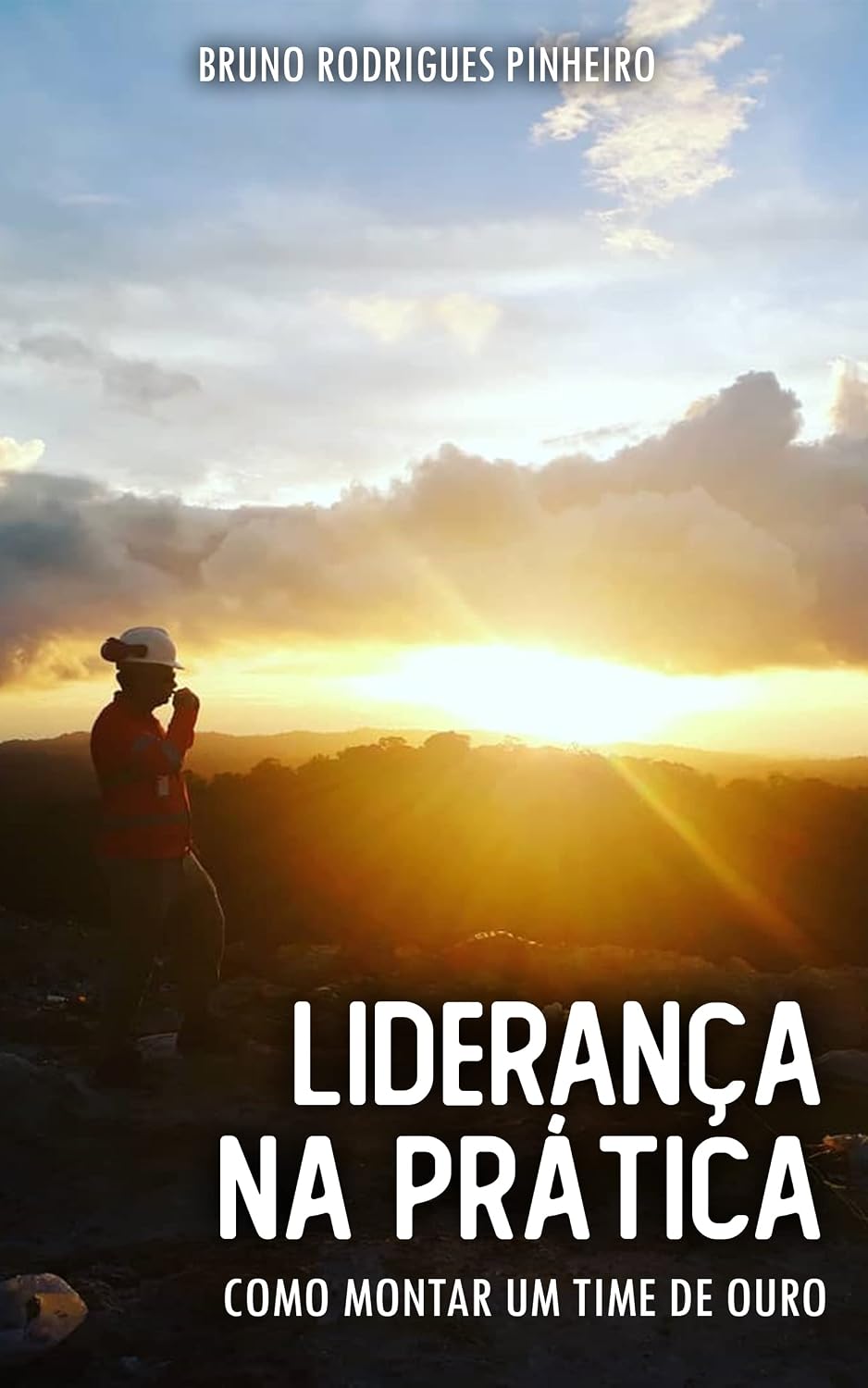 Liderança na Prática: Como Montar um Time de Ouro baixar livro de graça
