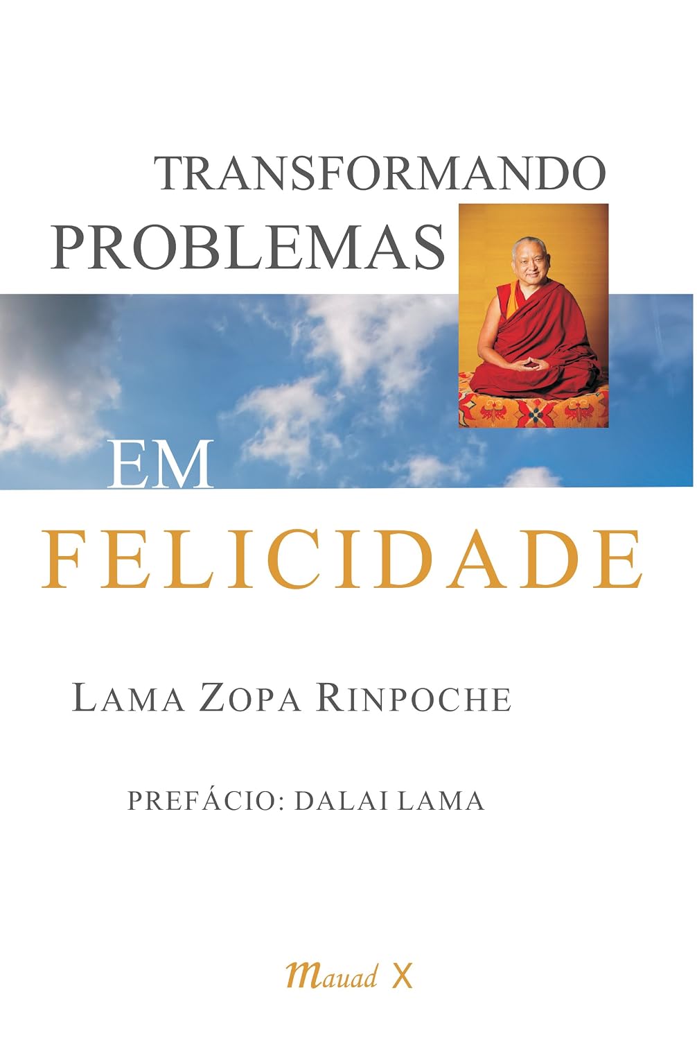 Transformando problemas em felicidade baixar livro de graça