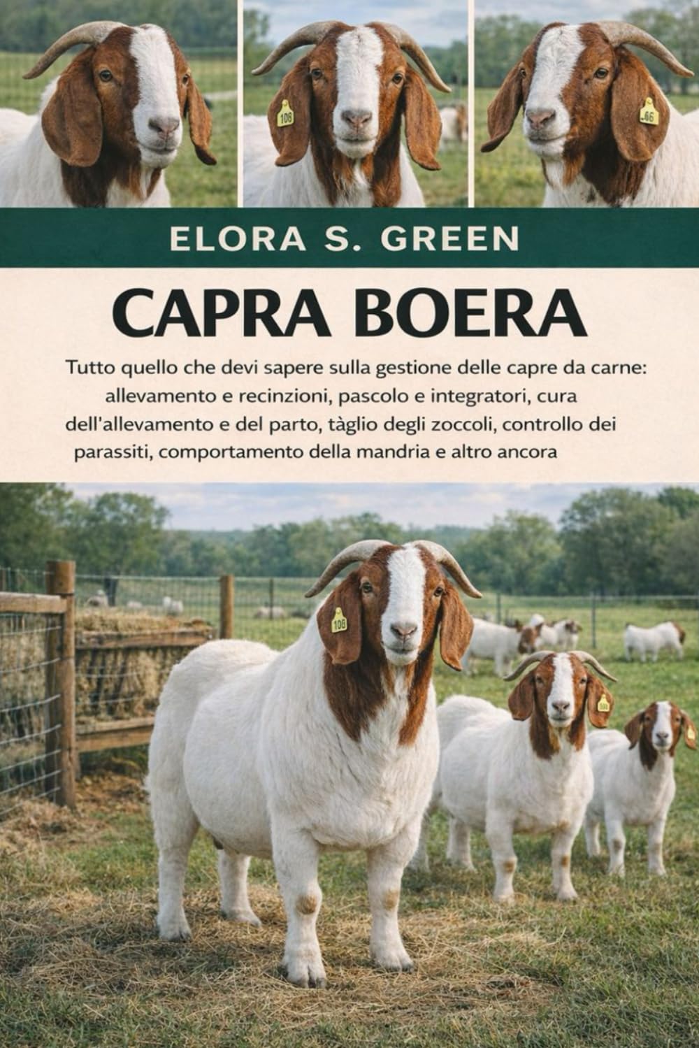 ler totalmente Capra Boera: Tutto quello che devi sapere sulla gestione delle capre da carne: allevamento e recinzioni, pascolo e integratori, cura dell'allevamento... comportamento della mandria e altro ancora