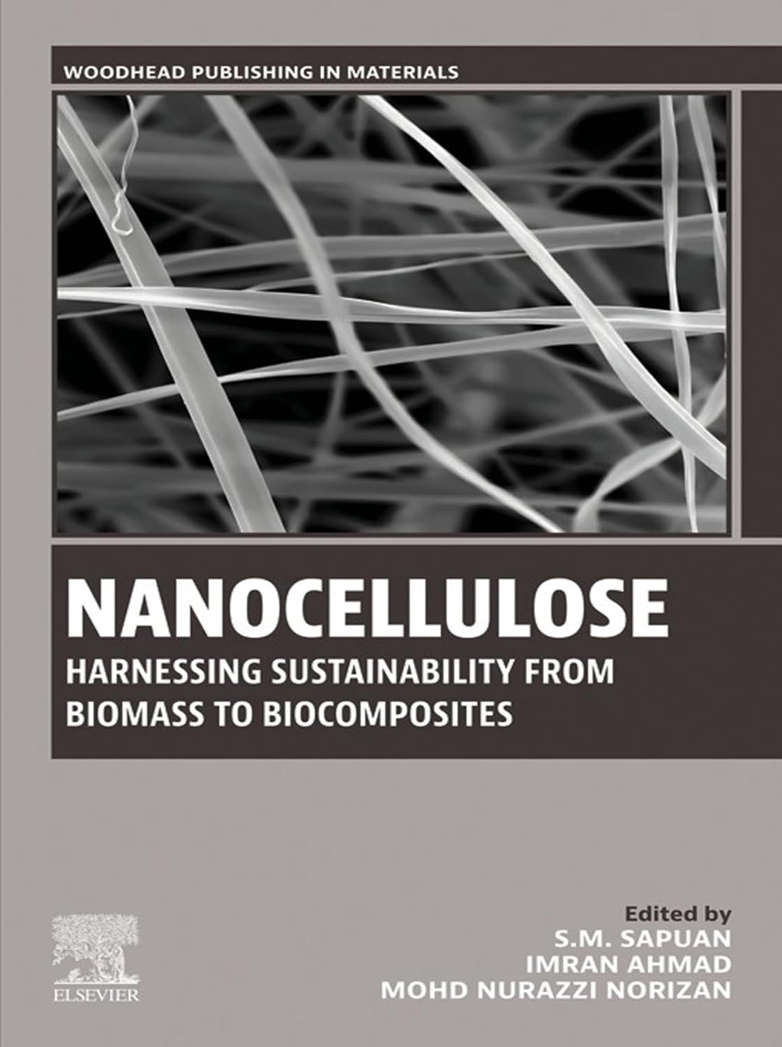ler totalmente Nanocellulose: Harnessing Sustainability from Biomass to Biocomposites (Woodhead Publishing in Materials) (English Edition)
